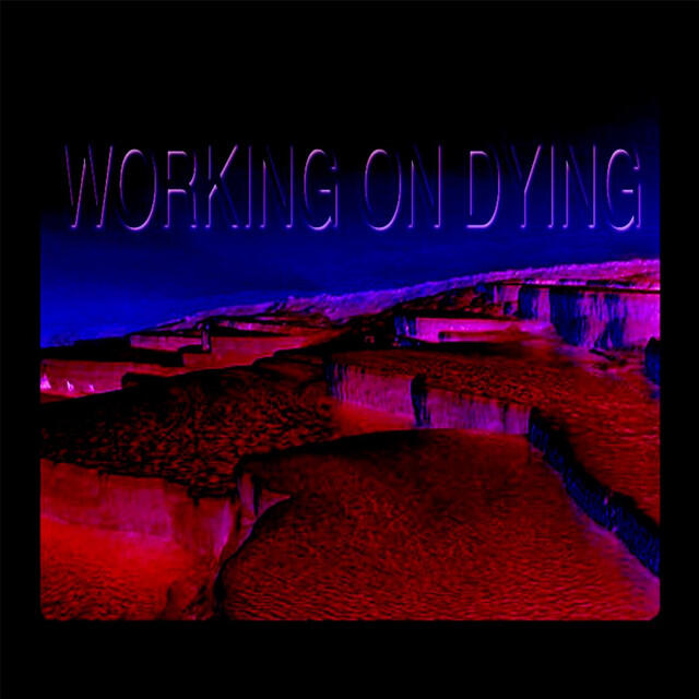 Релиз Working on Dying 2