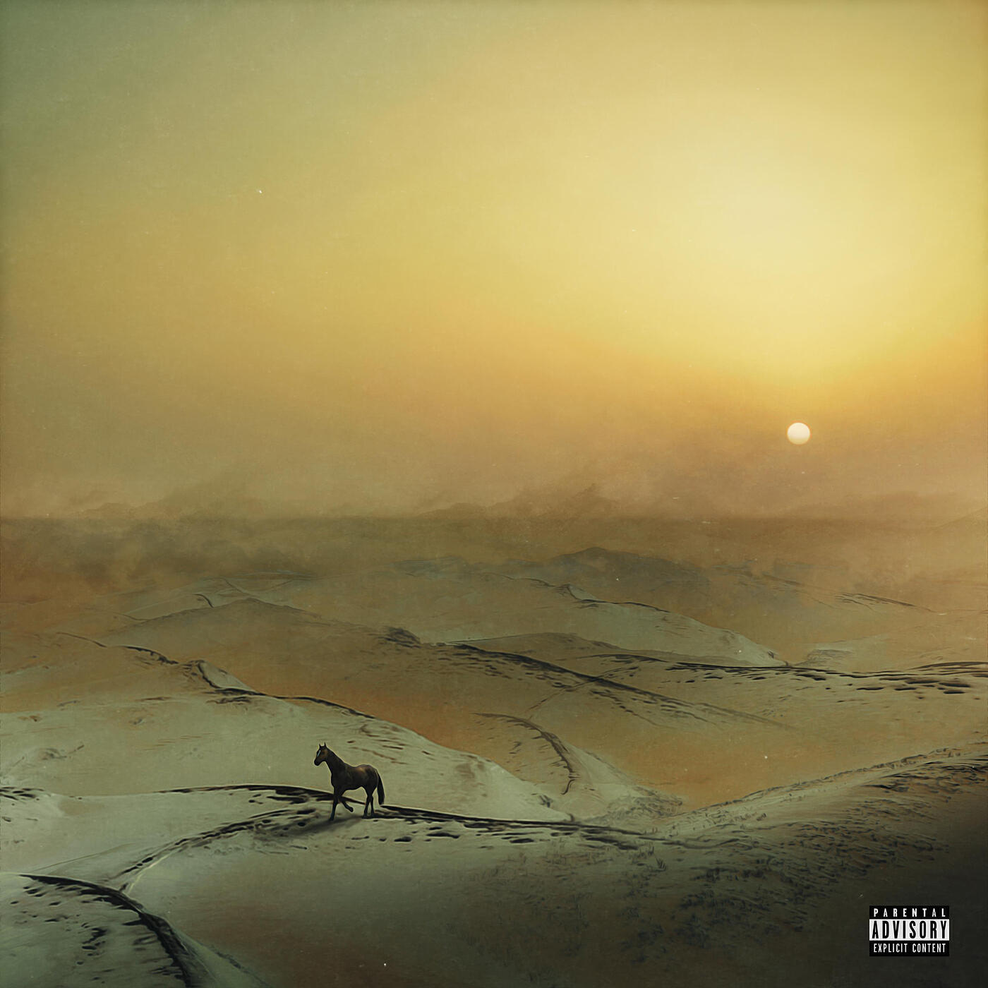 Релиз Horse with No Name