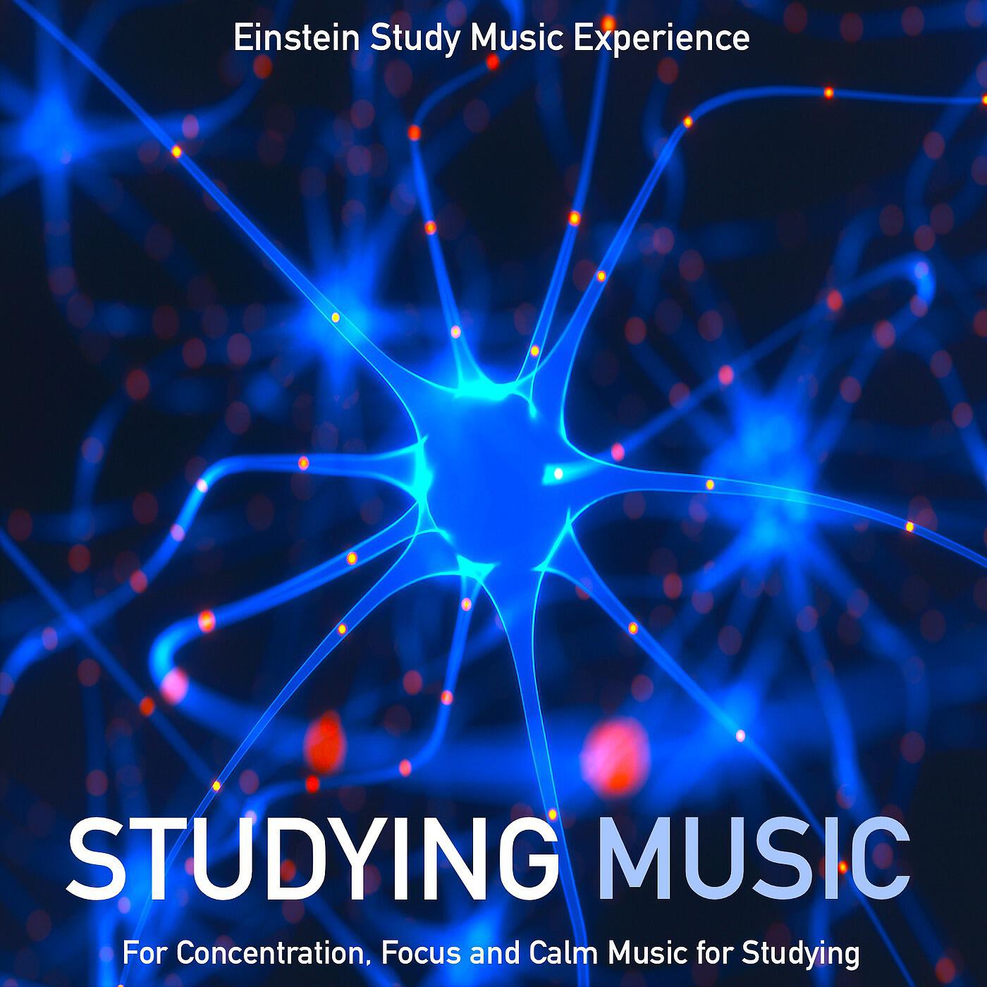 Релиз Studying Music for Concentration, Focus and Calm Music for Studying