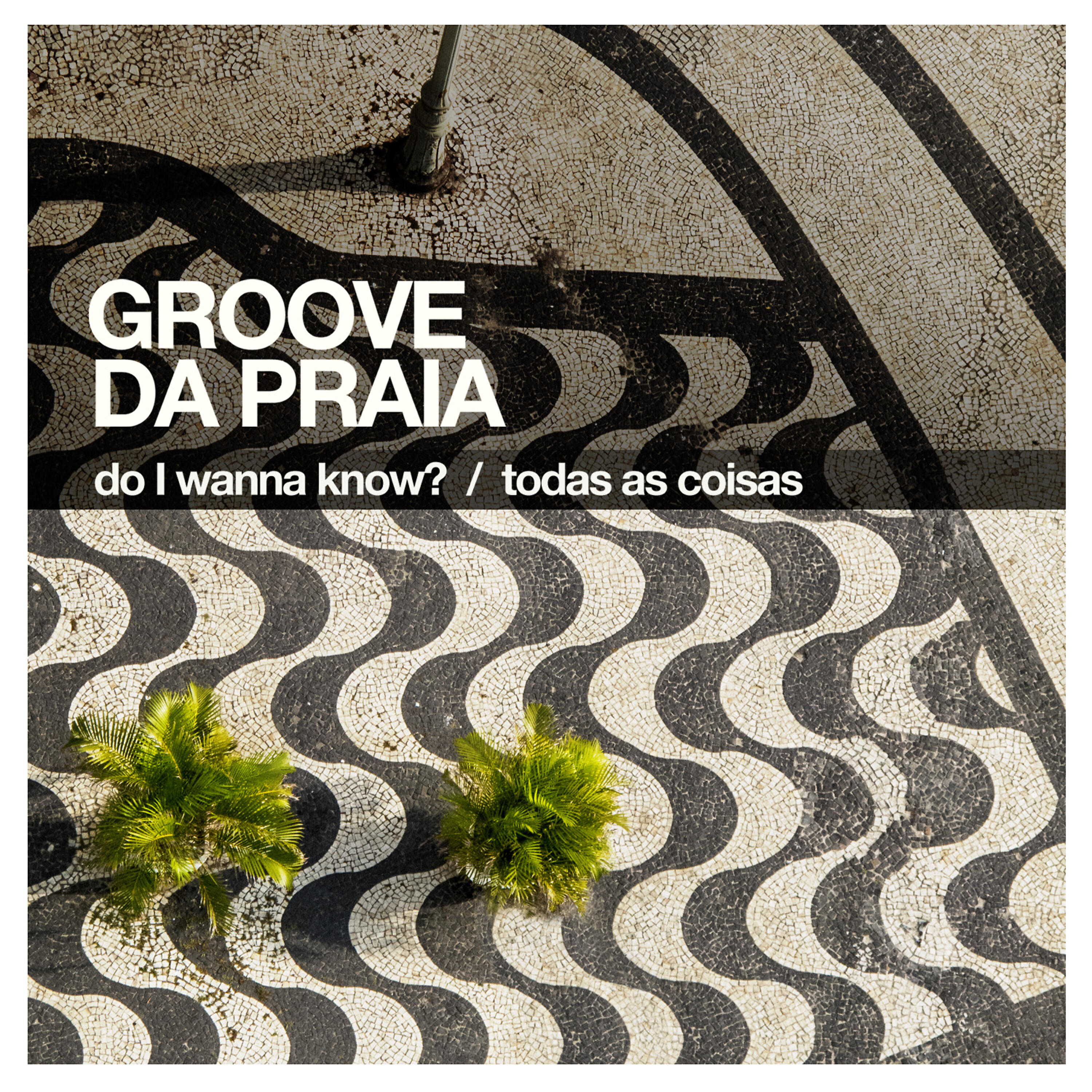 Постер альбома Do I Wanna Know? / Todas as Coisas