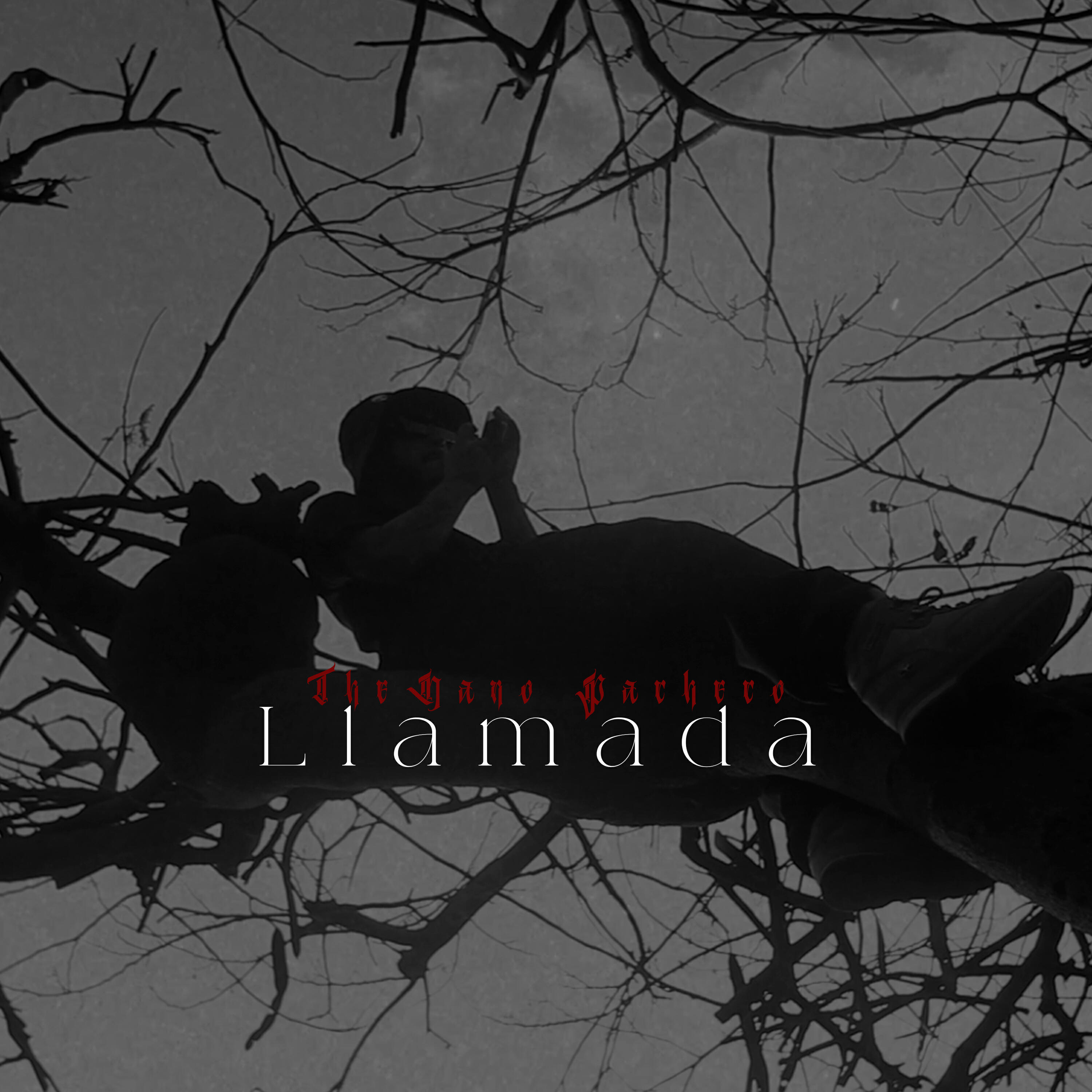 Релиз Llamada