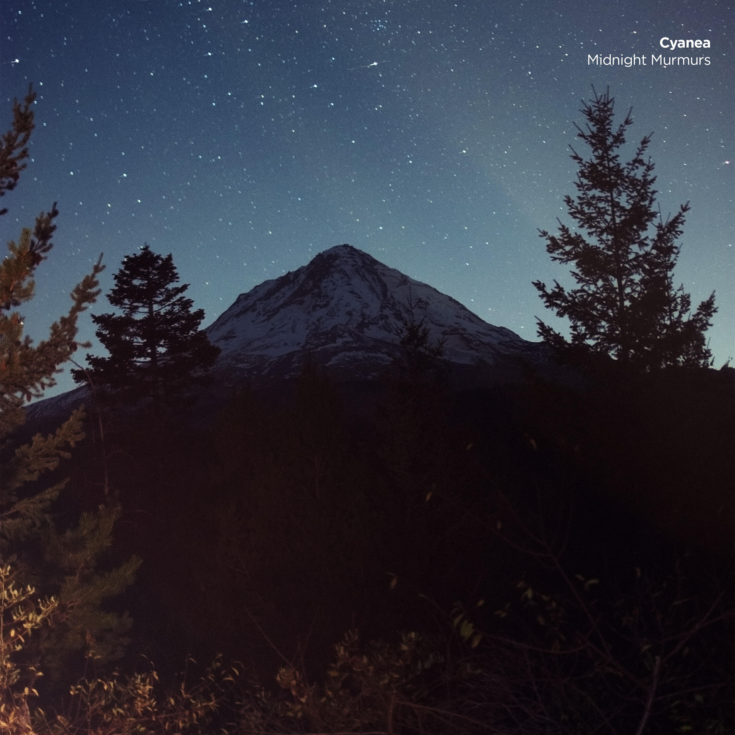 Релиз Midnight Murmurs