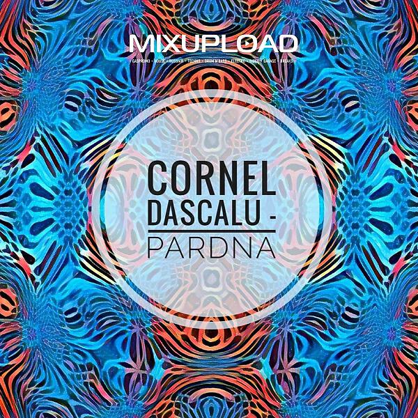 Постер альбома Pardna