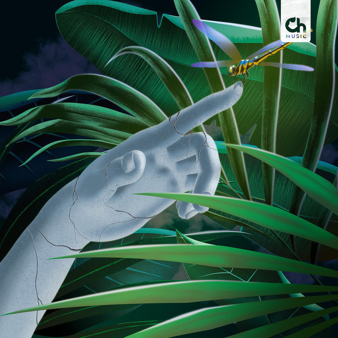 Релиз Tropical Midnight