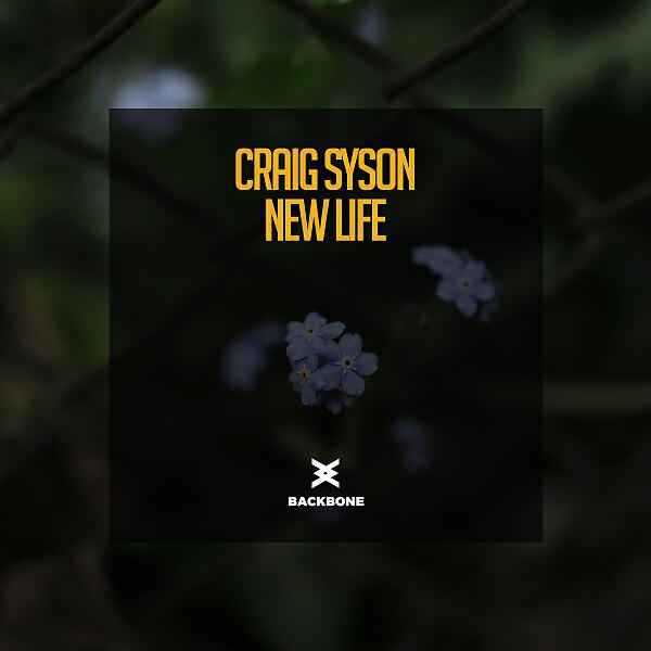 Релиз New Life