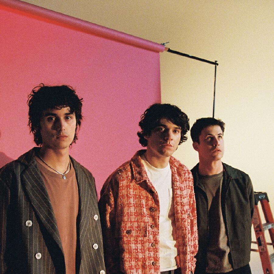 Wallows