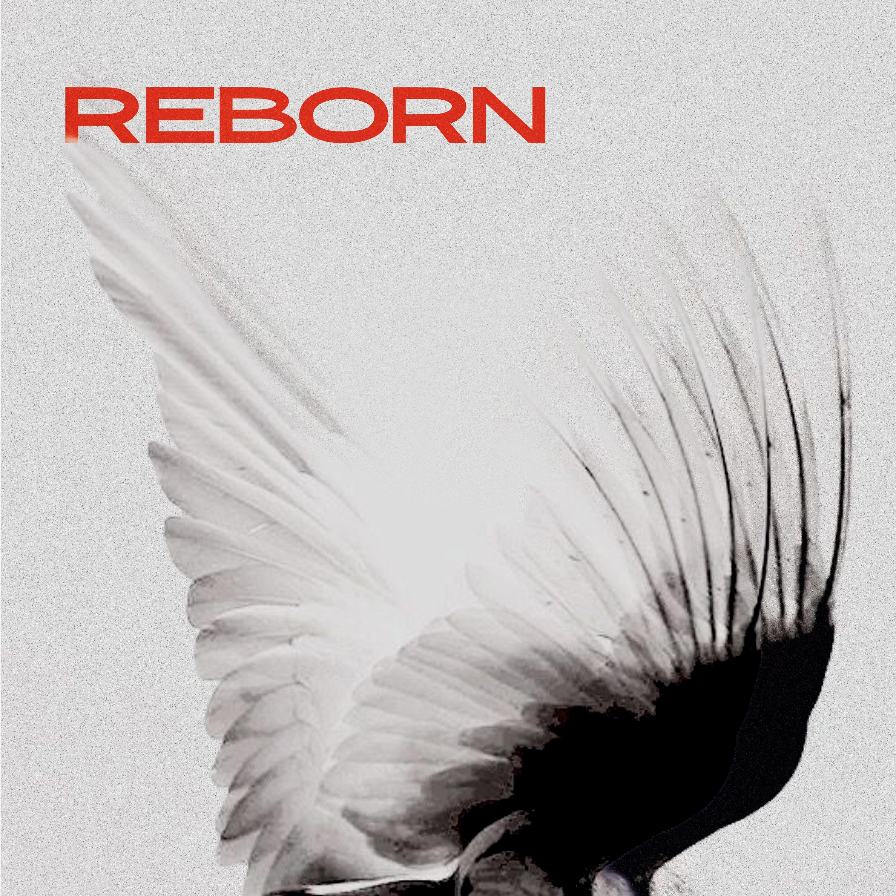 Релиз Reborn