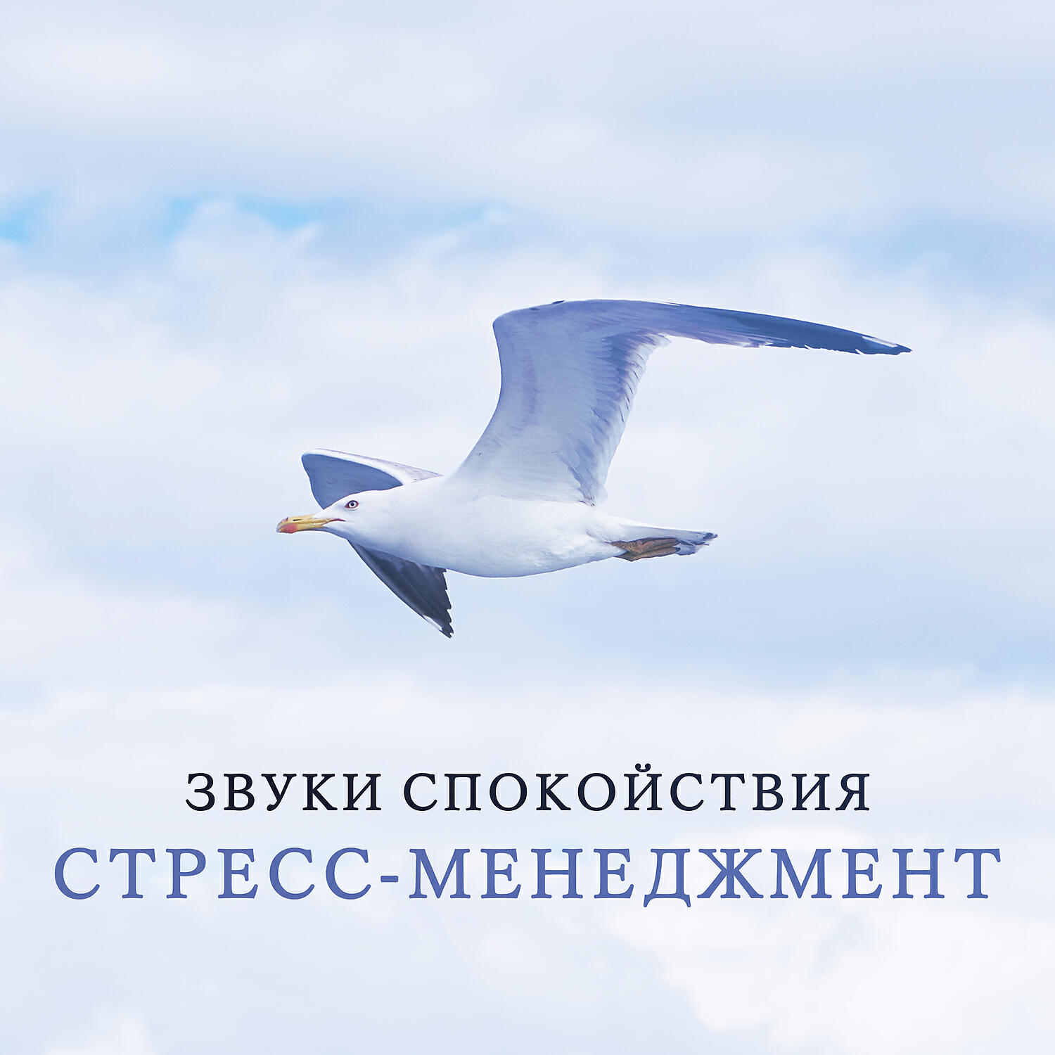 Yoga Meditation Music Set / Nature Collection
