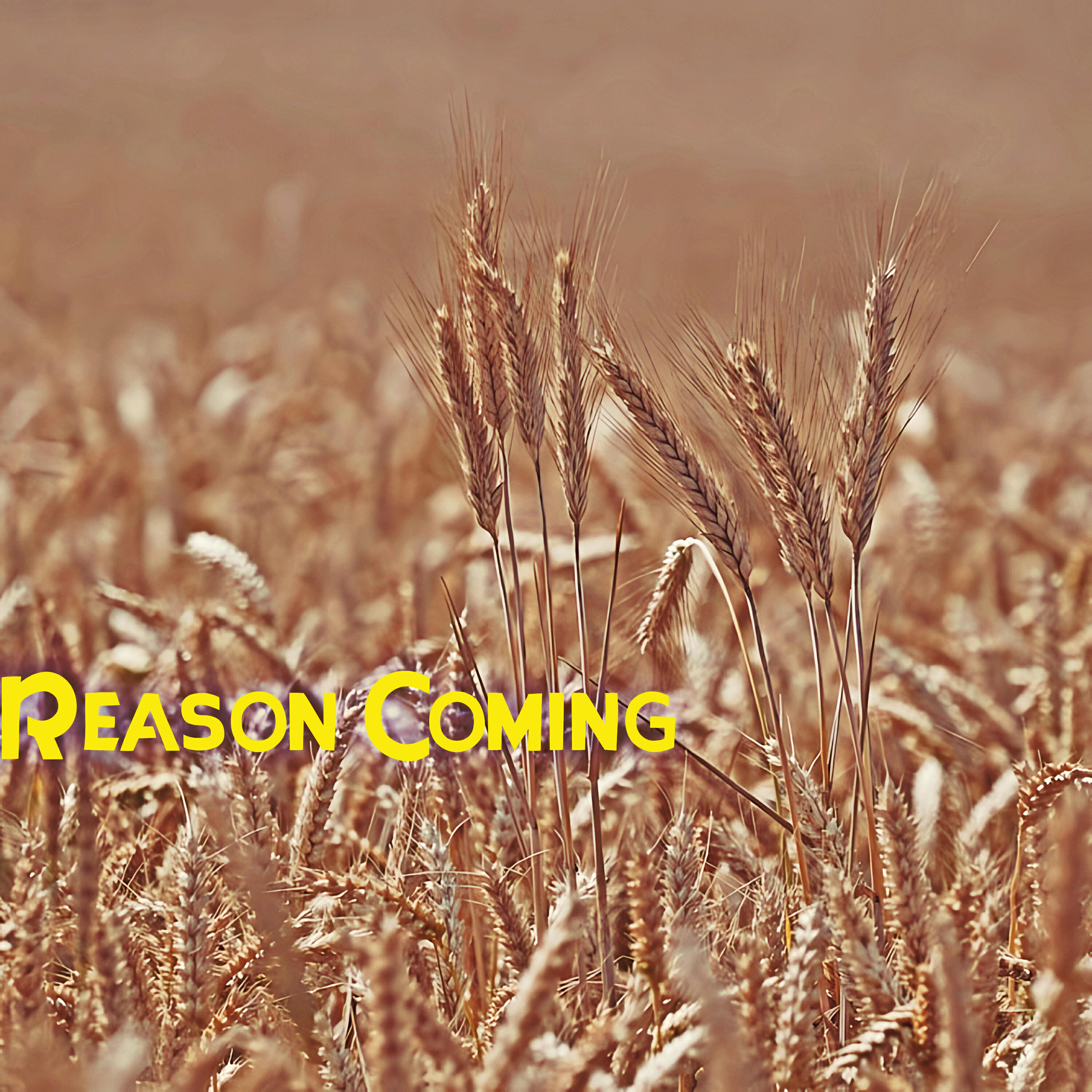 Релиз Reason Coming
