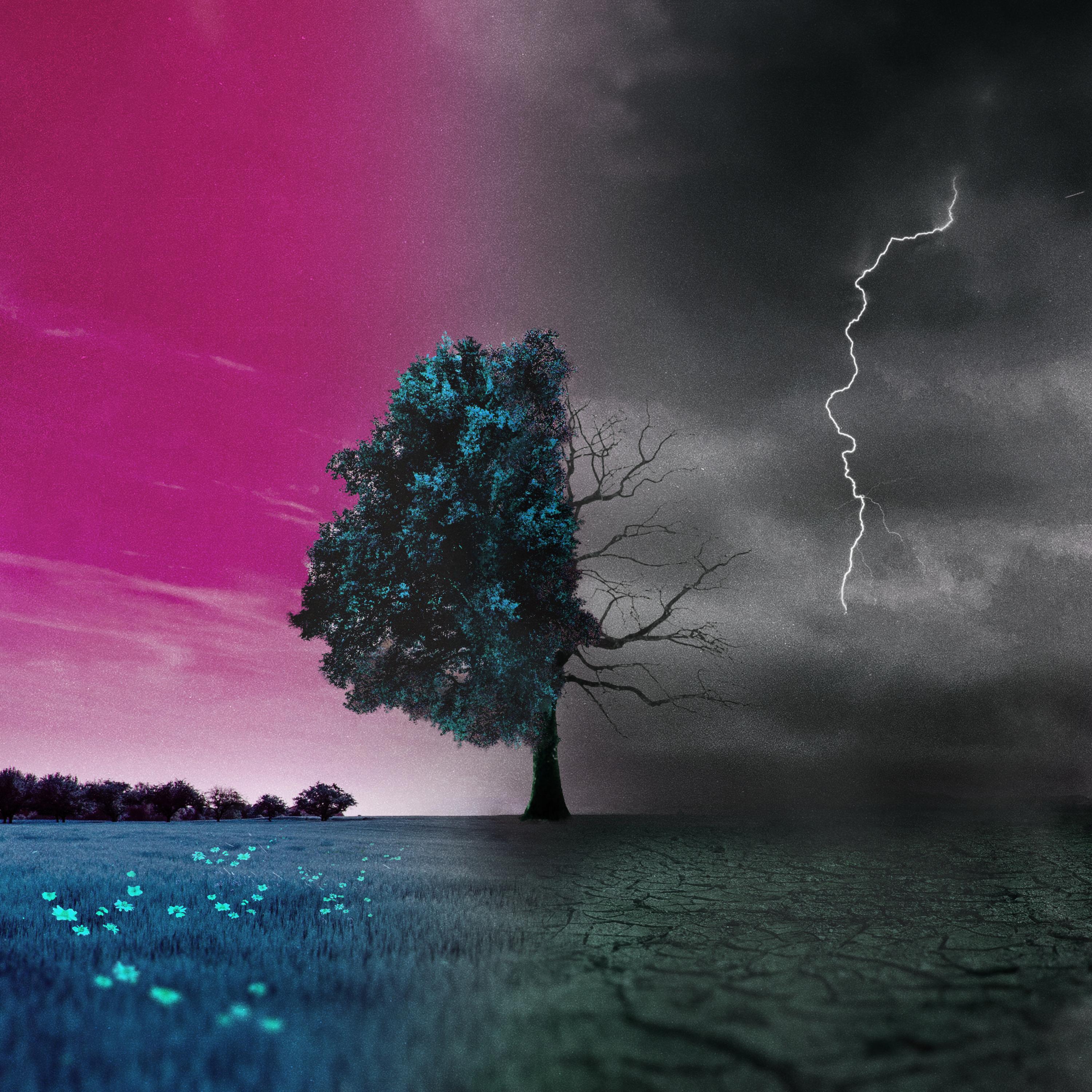 Релиз Painted Dreams