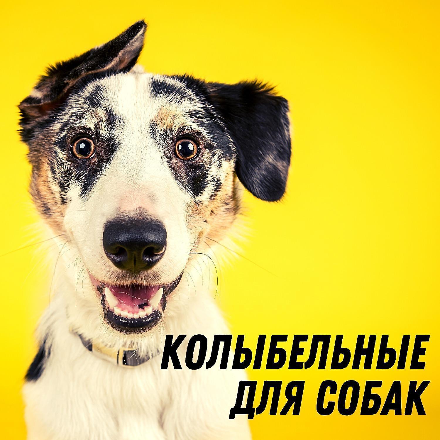 Музыкальный клуб сладких снов