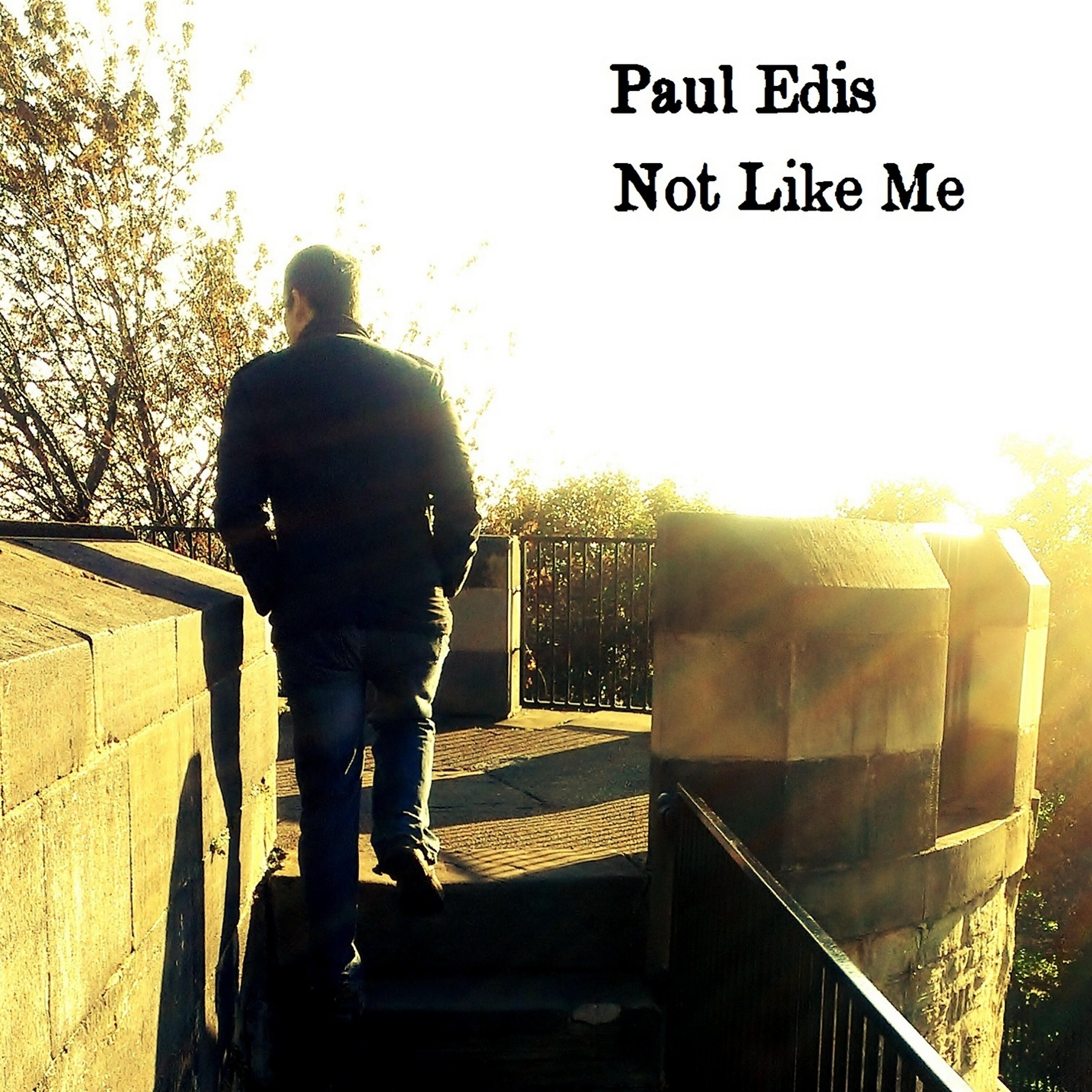 Релиз Not Like Me