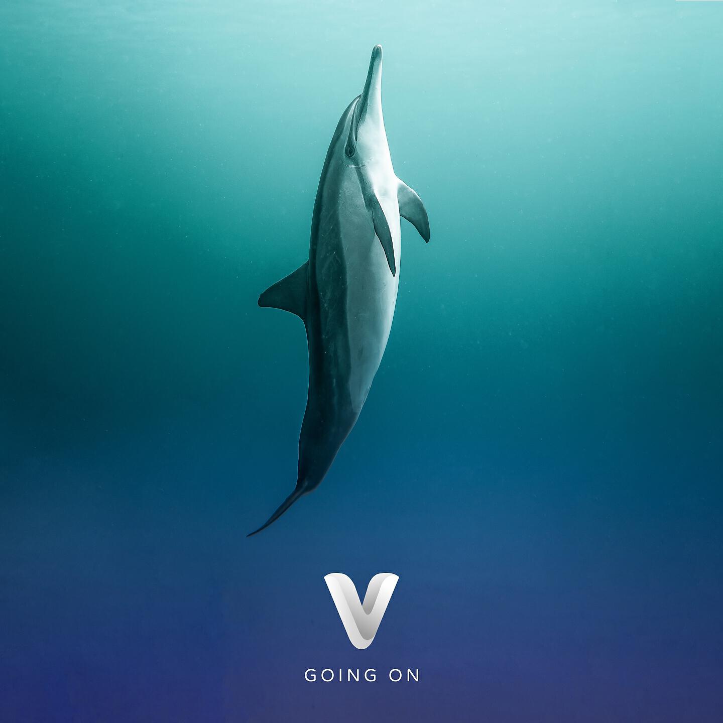 Релиз Going On