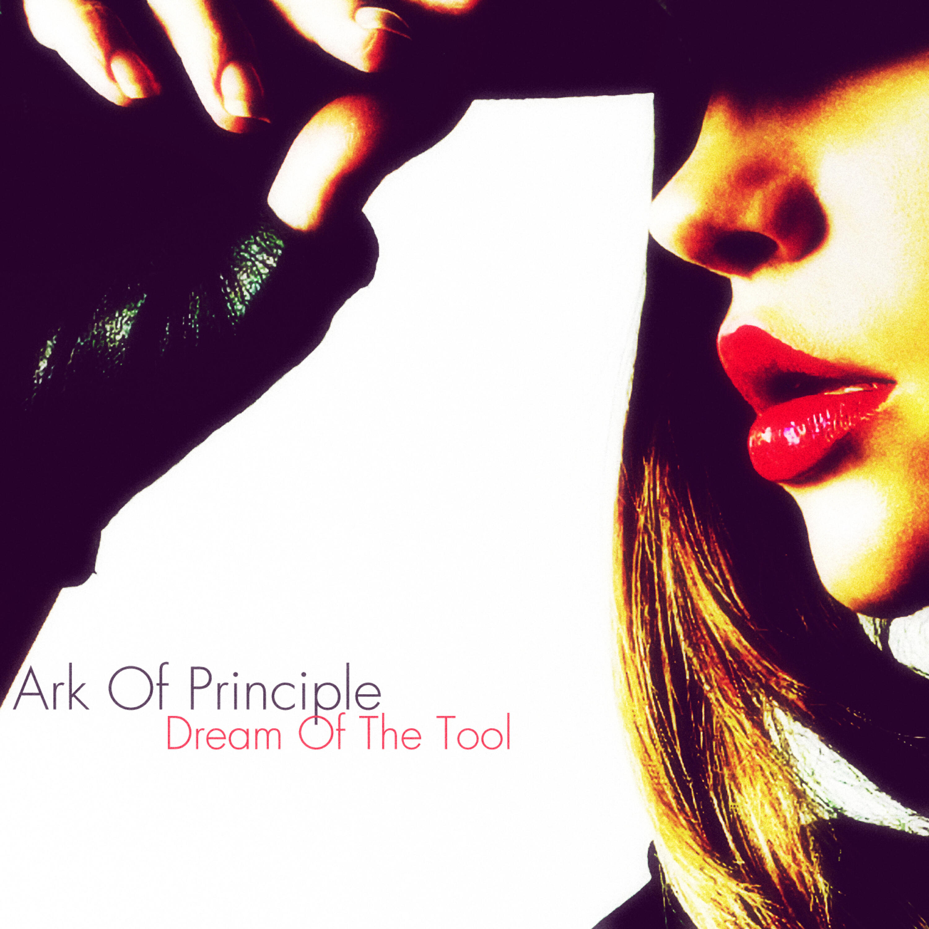Релиз Dream of the Tool