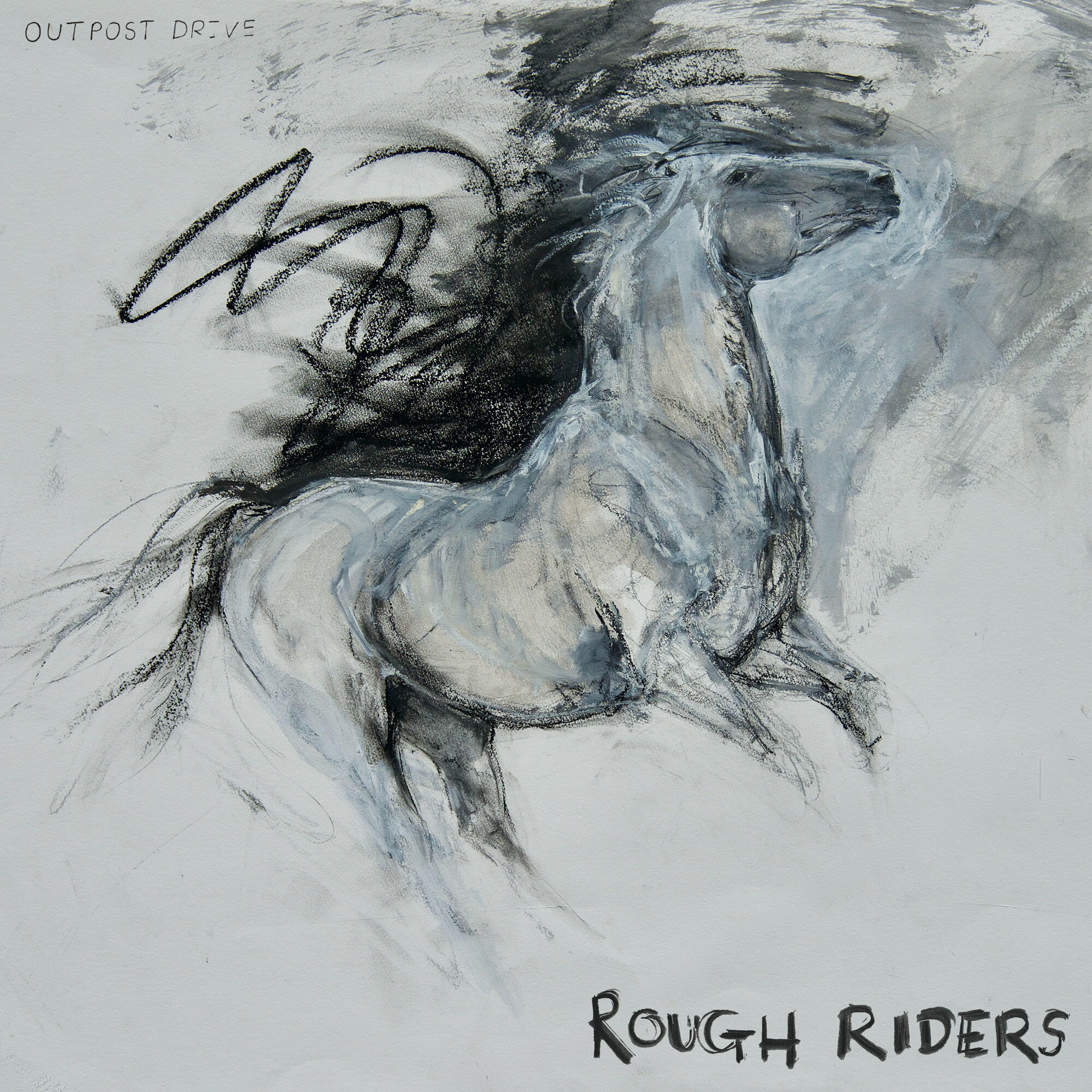 Релиз Rough Riders