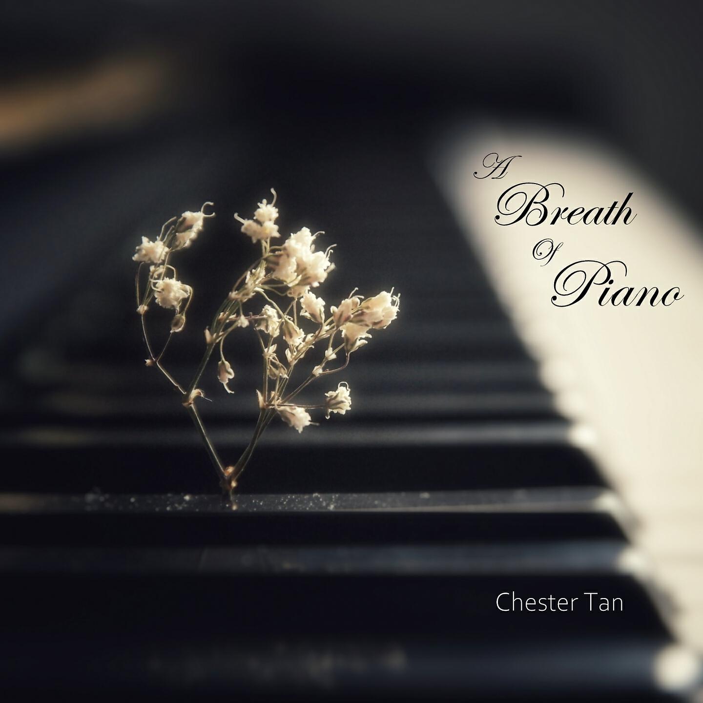 Релиз A Breath of Piano