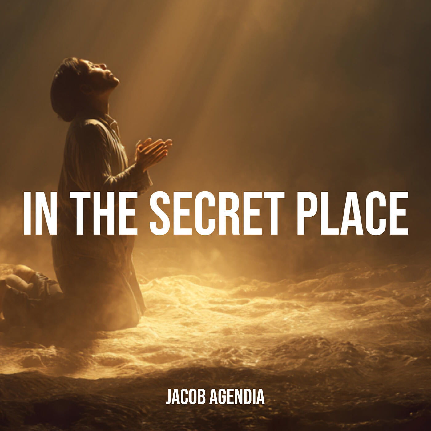 Релиз In the Secret Place