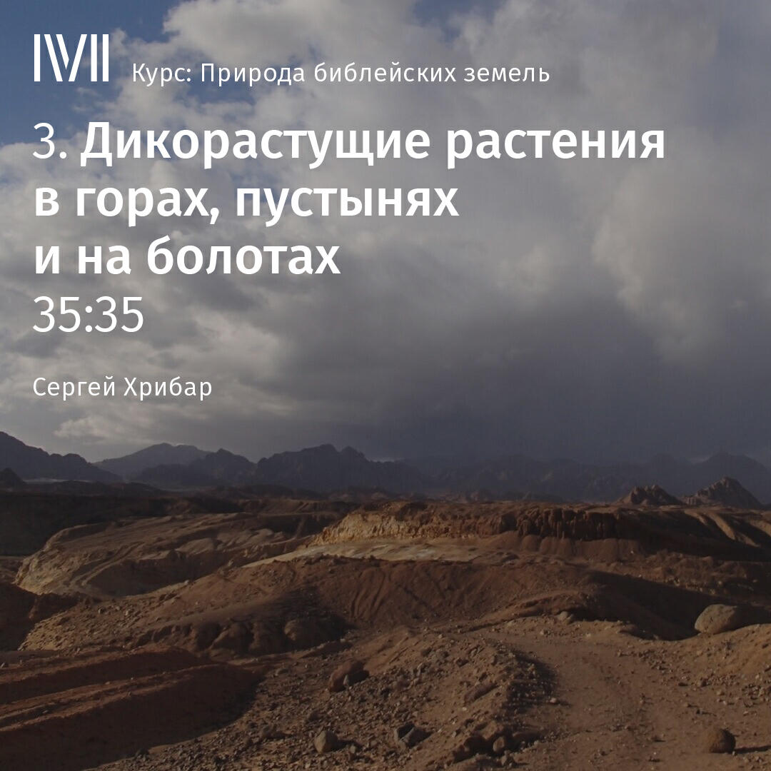 Книга "Дикорастущие растения в горах, пустынях и на болотах"