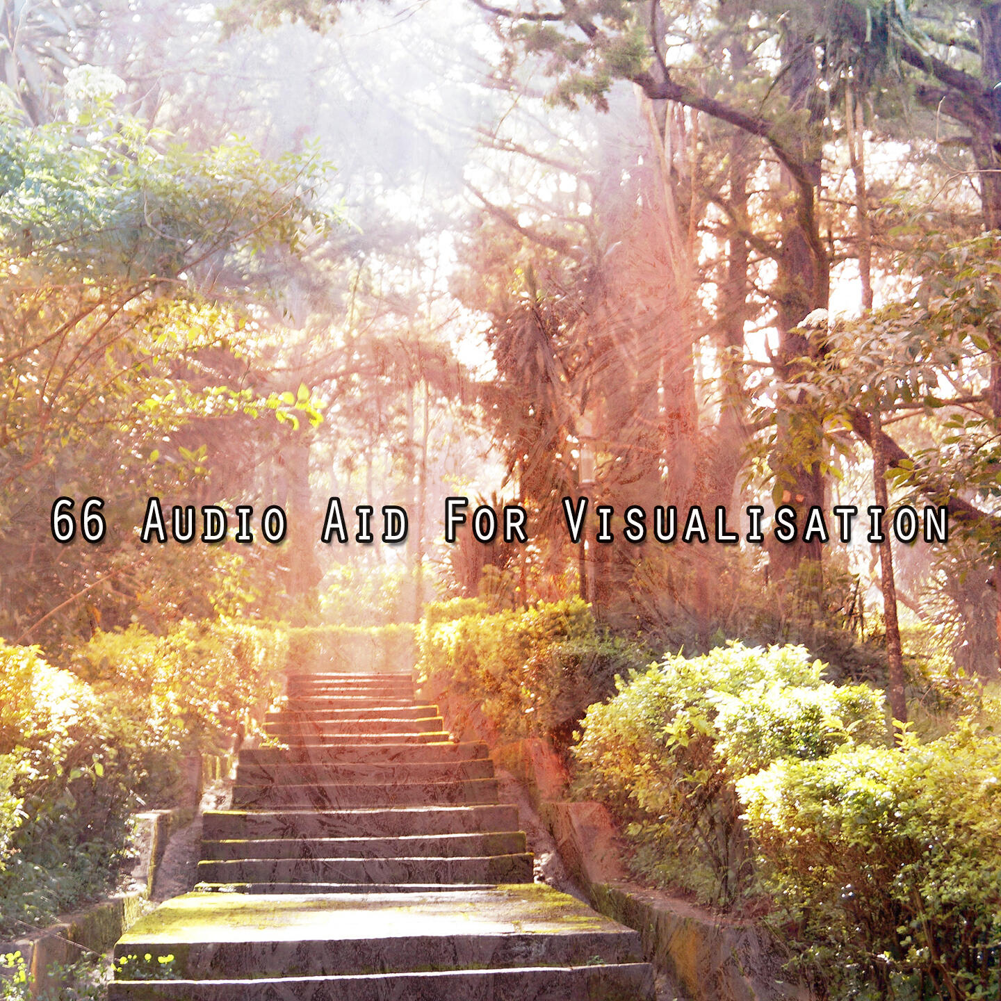 Постер альбома 66 Audio Aid For Visualisation