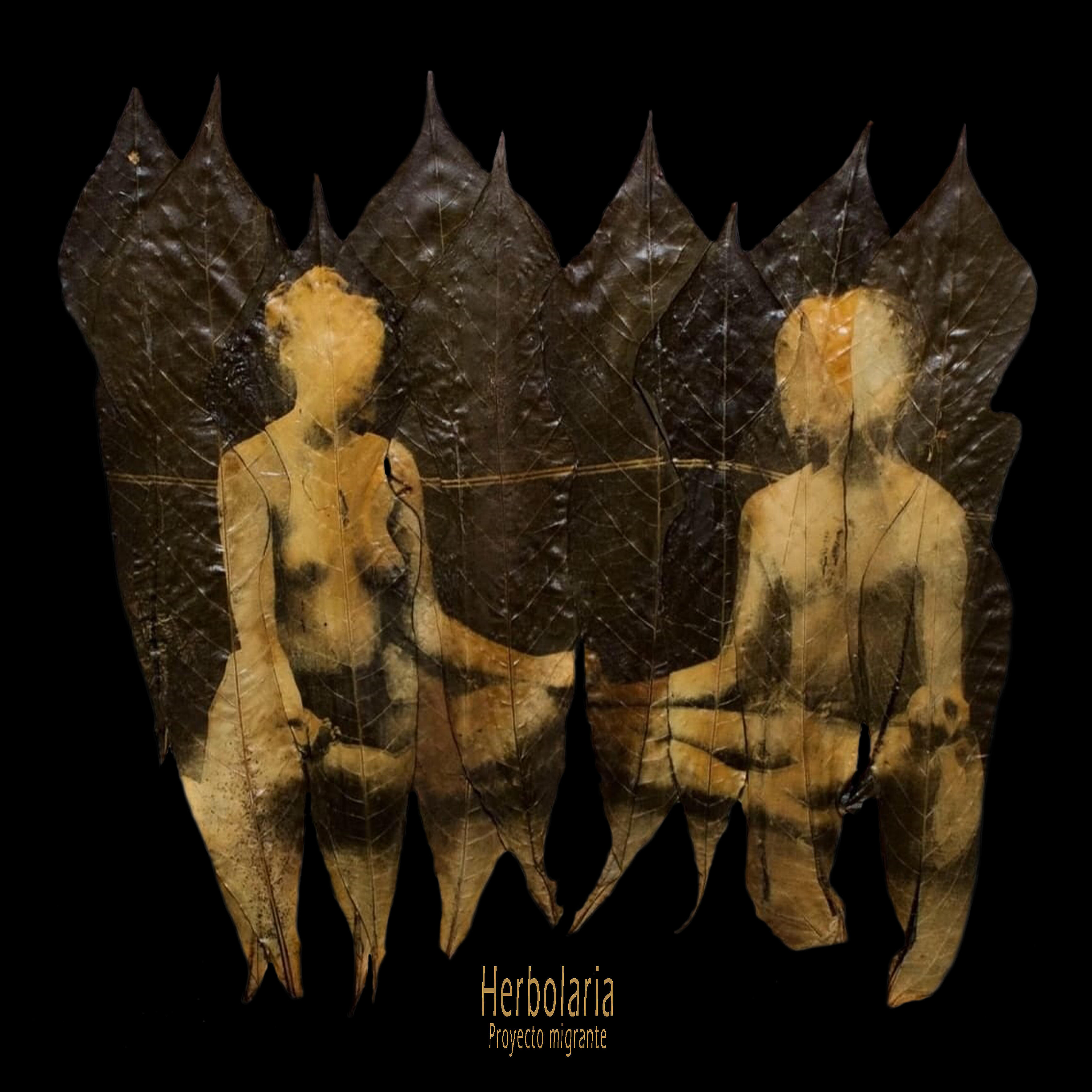 Релиз Herbolaria