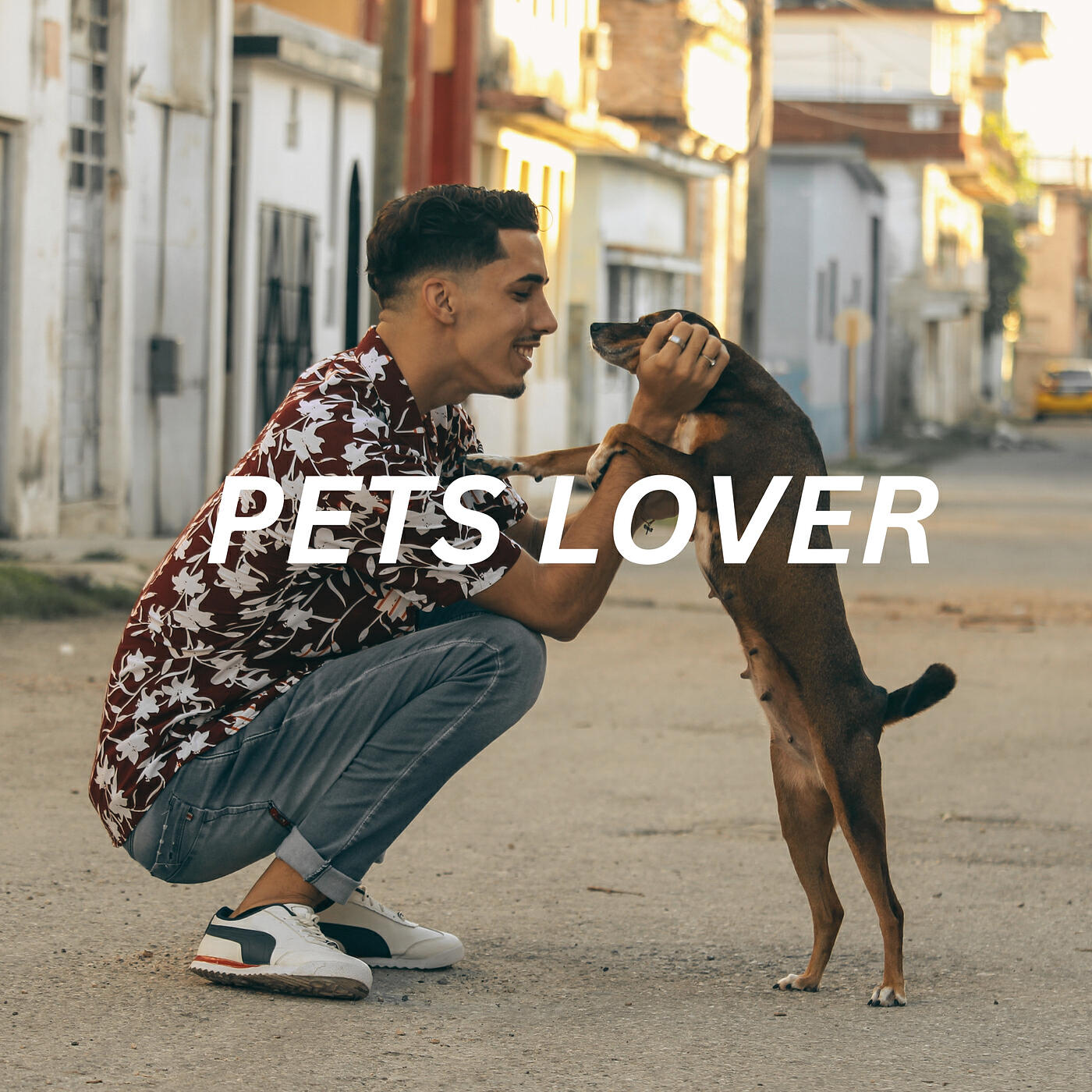Релиз Pets Lover