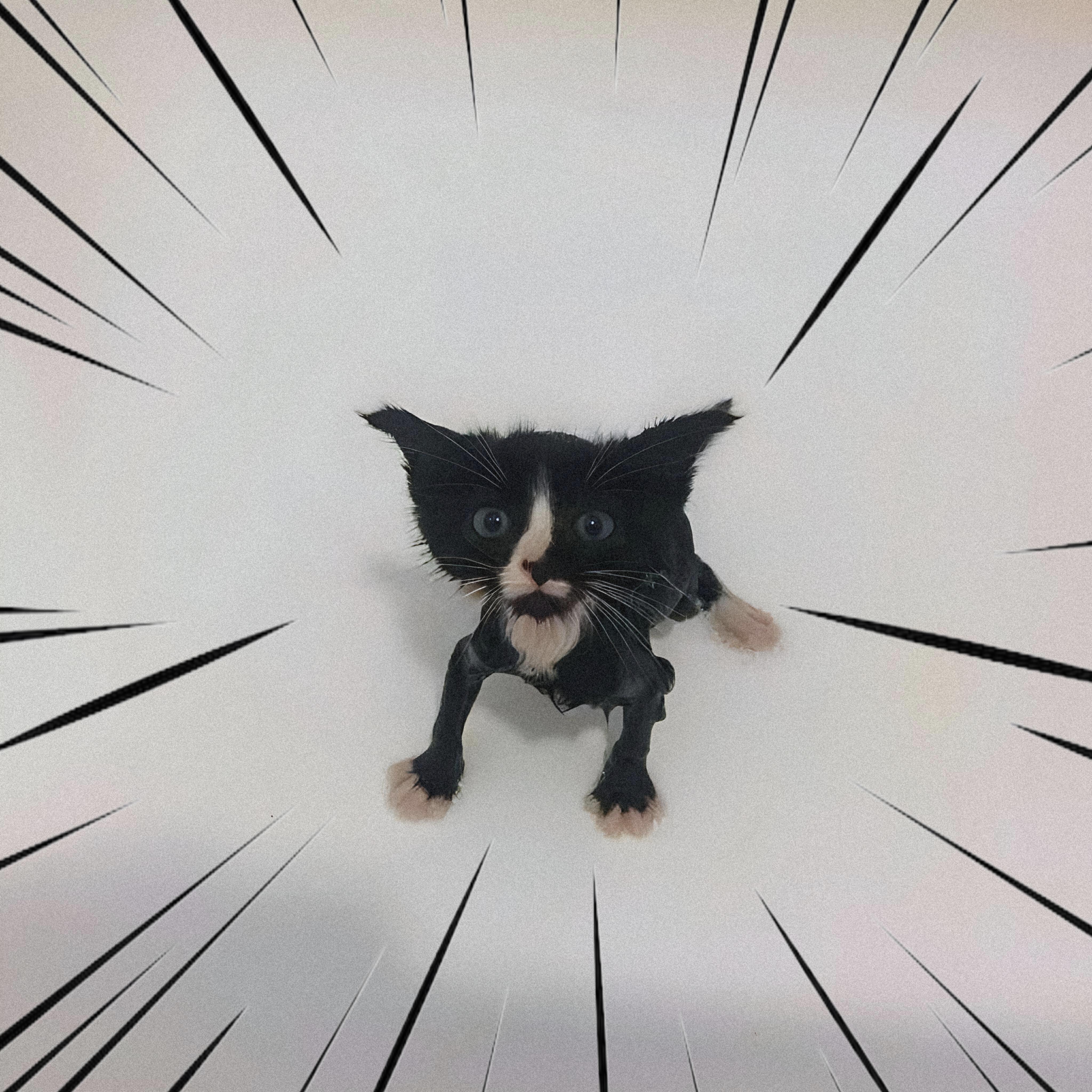 Релиз Get Down