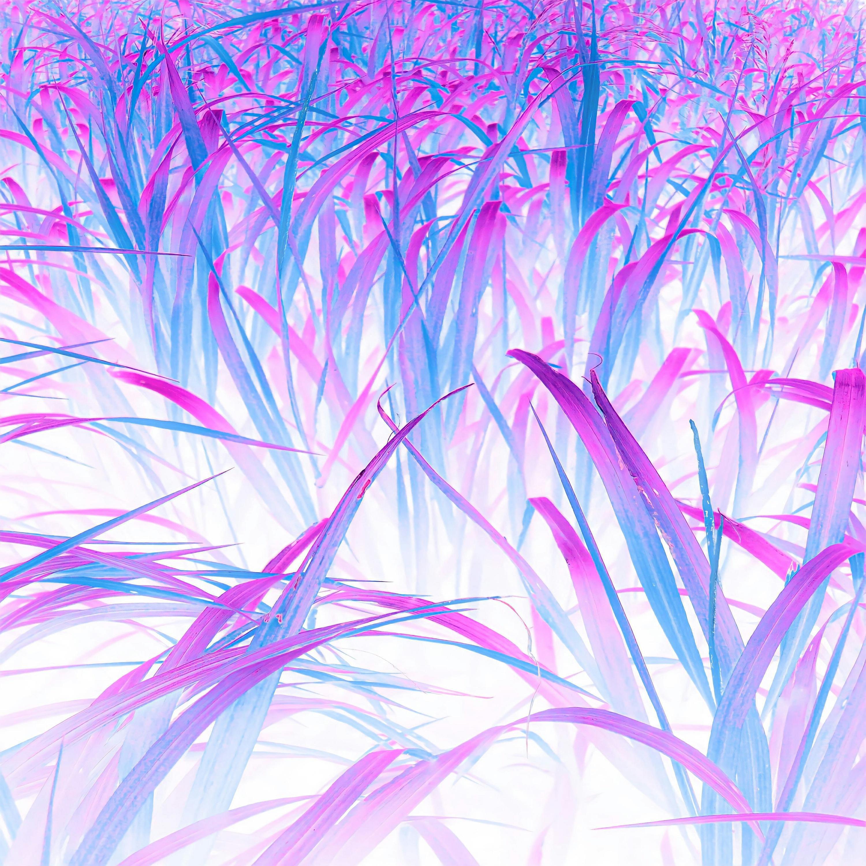 Релиз I Wouldn't Mind (Sped Up)