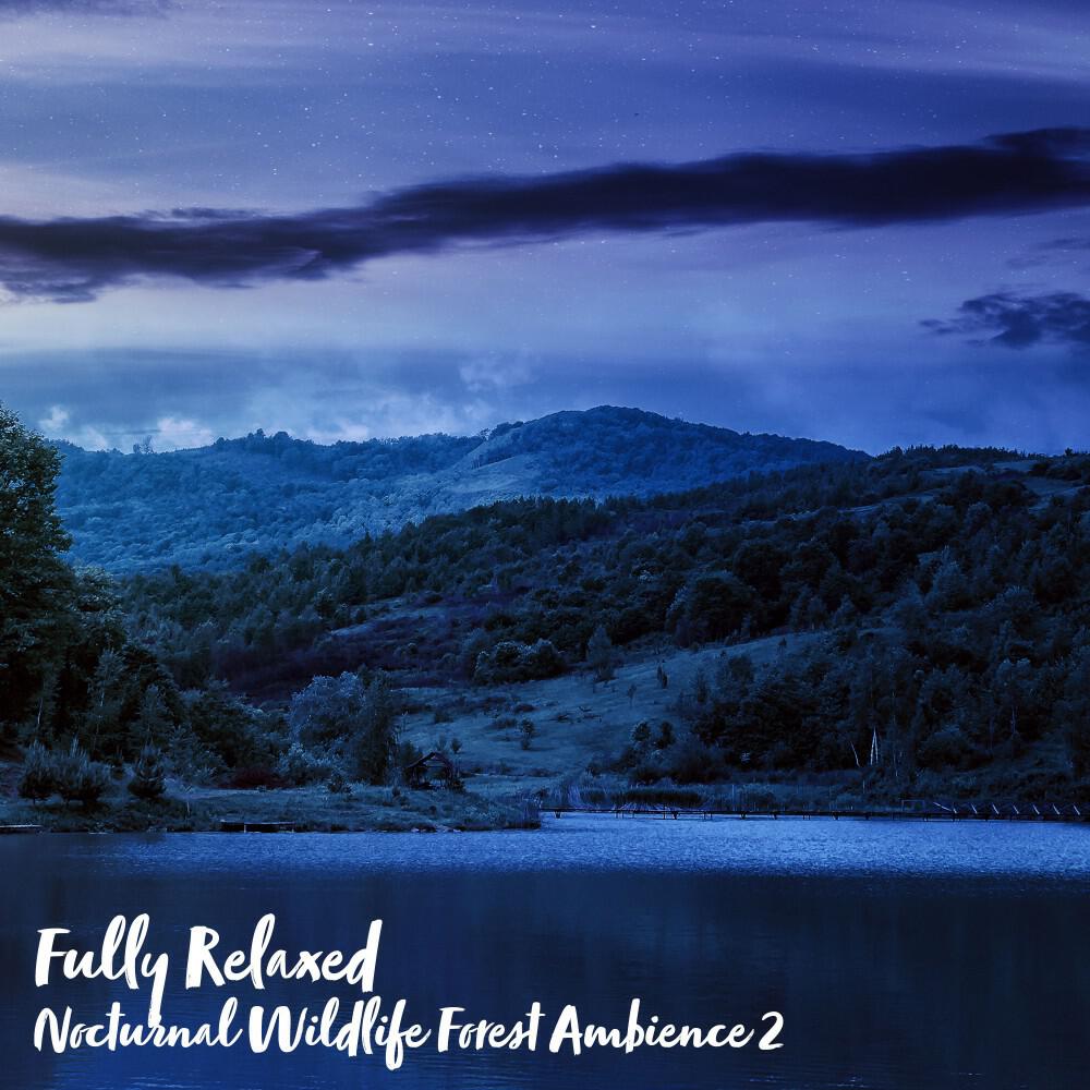Релиз Fully Relaxed: Nocturnal Wildlife Forest Ambience 2