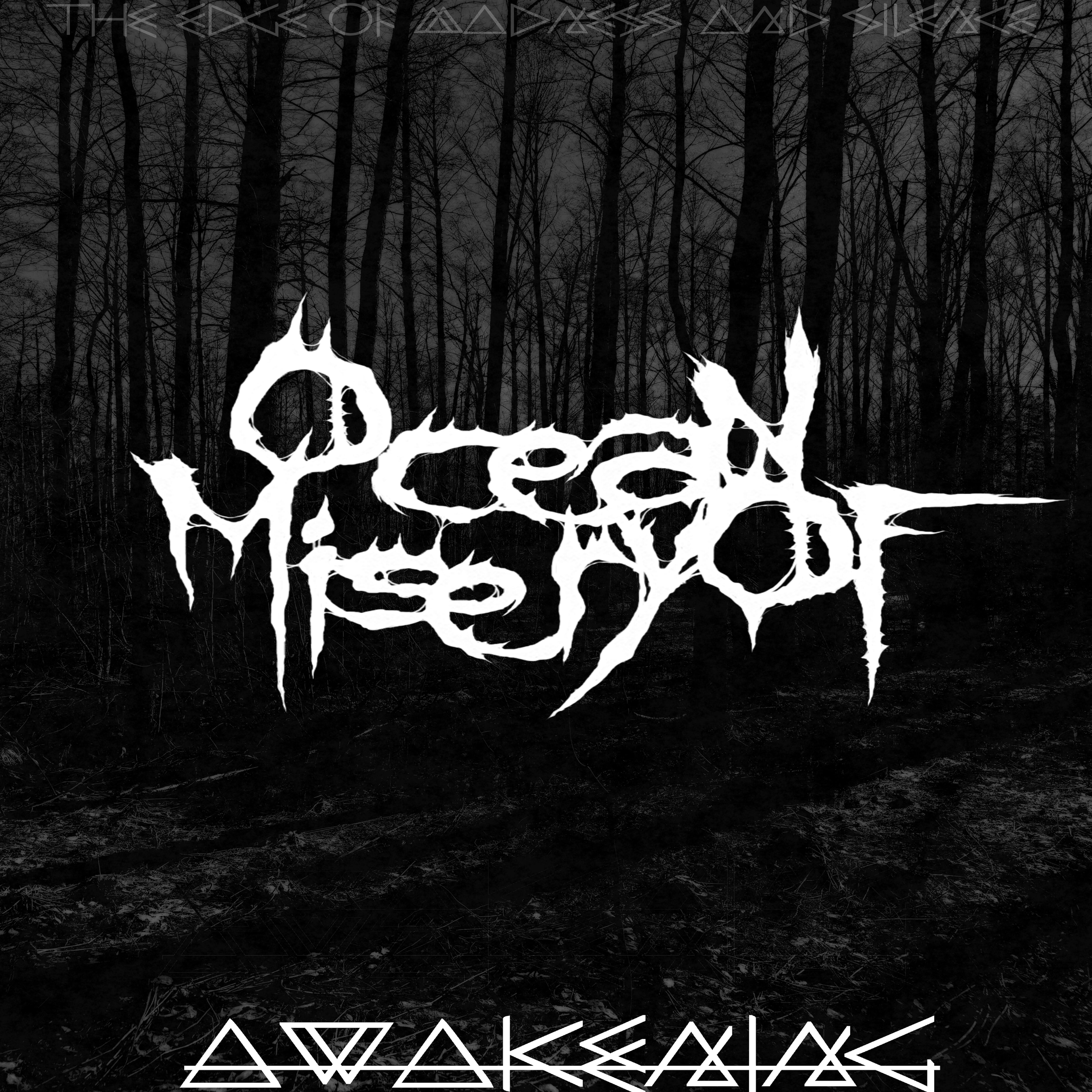 Релиз Awakening