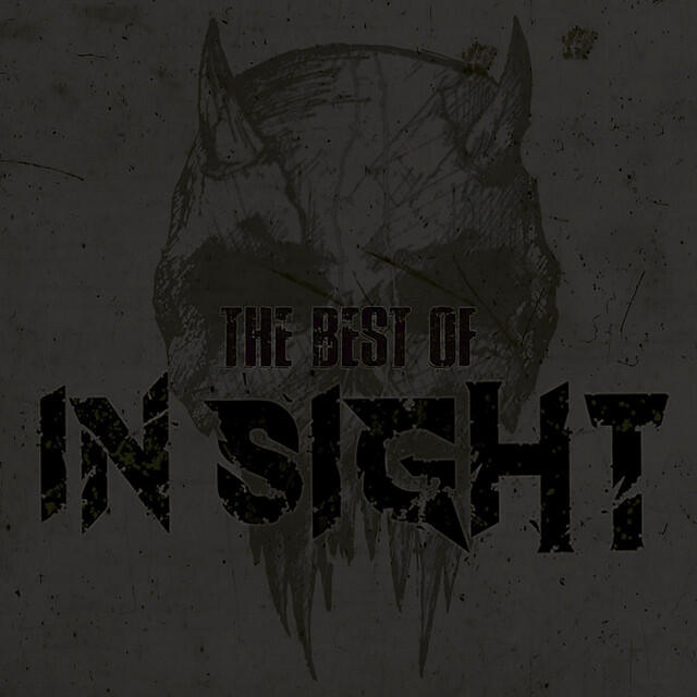 In-Sight