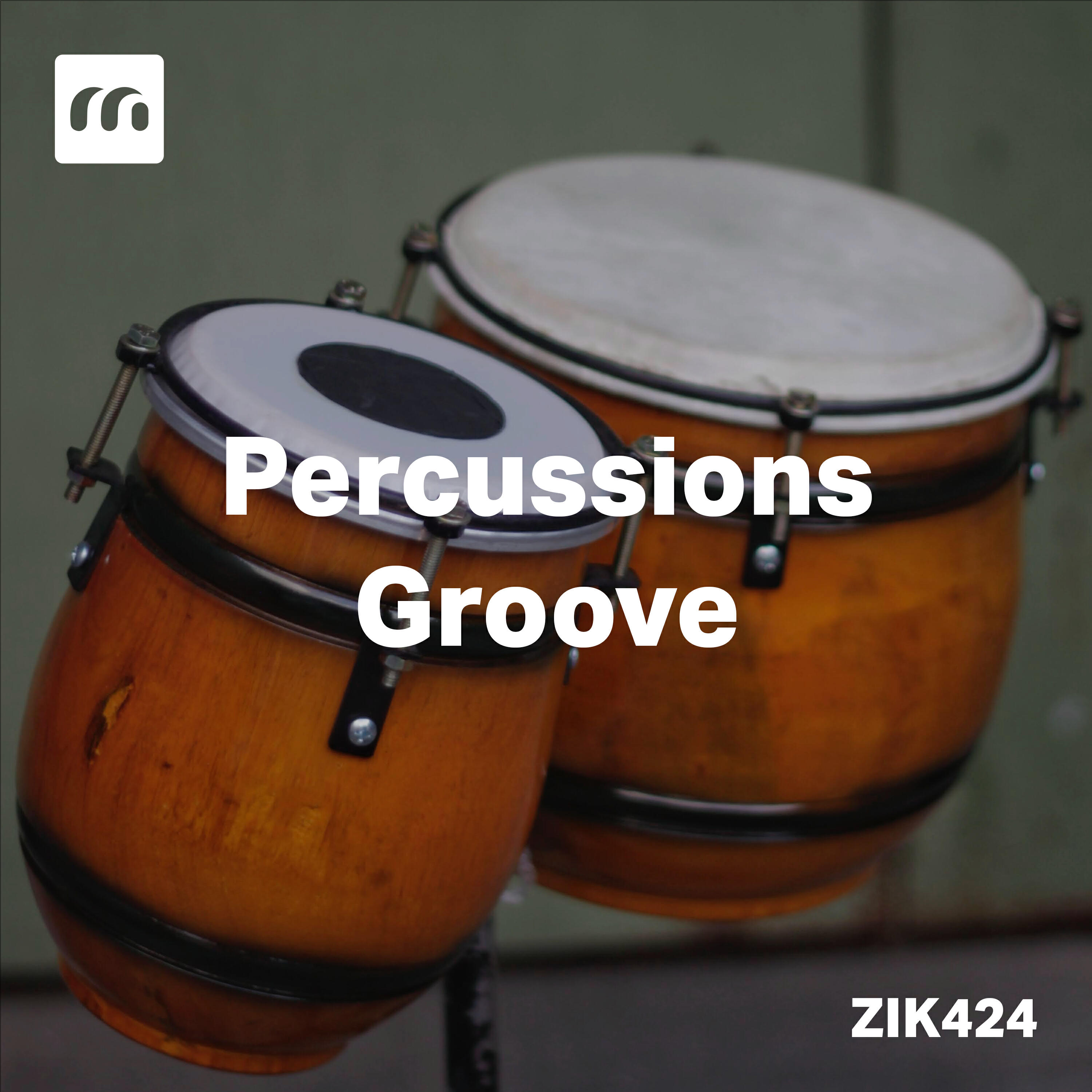 Релиз Percussions Groove