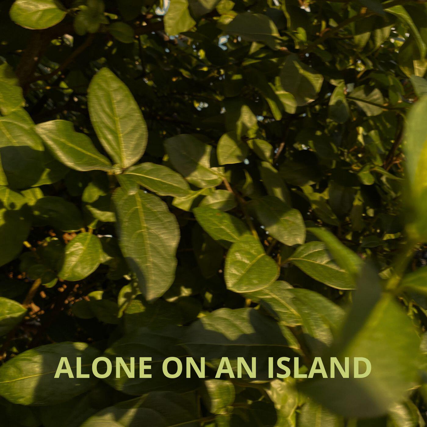 Релиз Alone On An Island