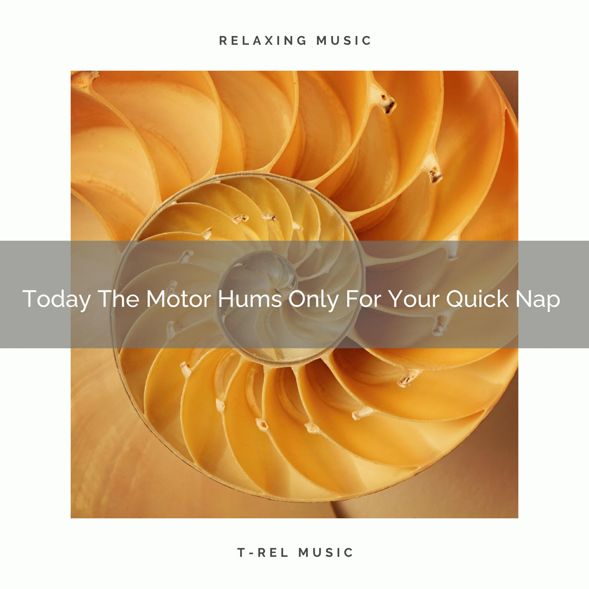 Релиз 2021 New: Today The Motor Hums Only For Your Quick Nap