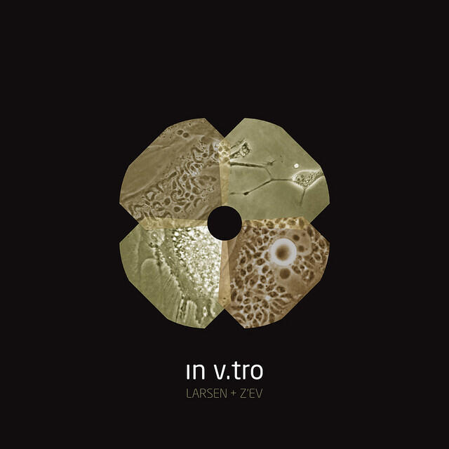 Релиз In V.Tro