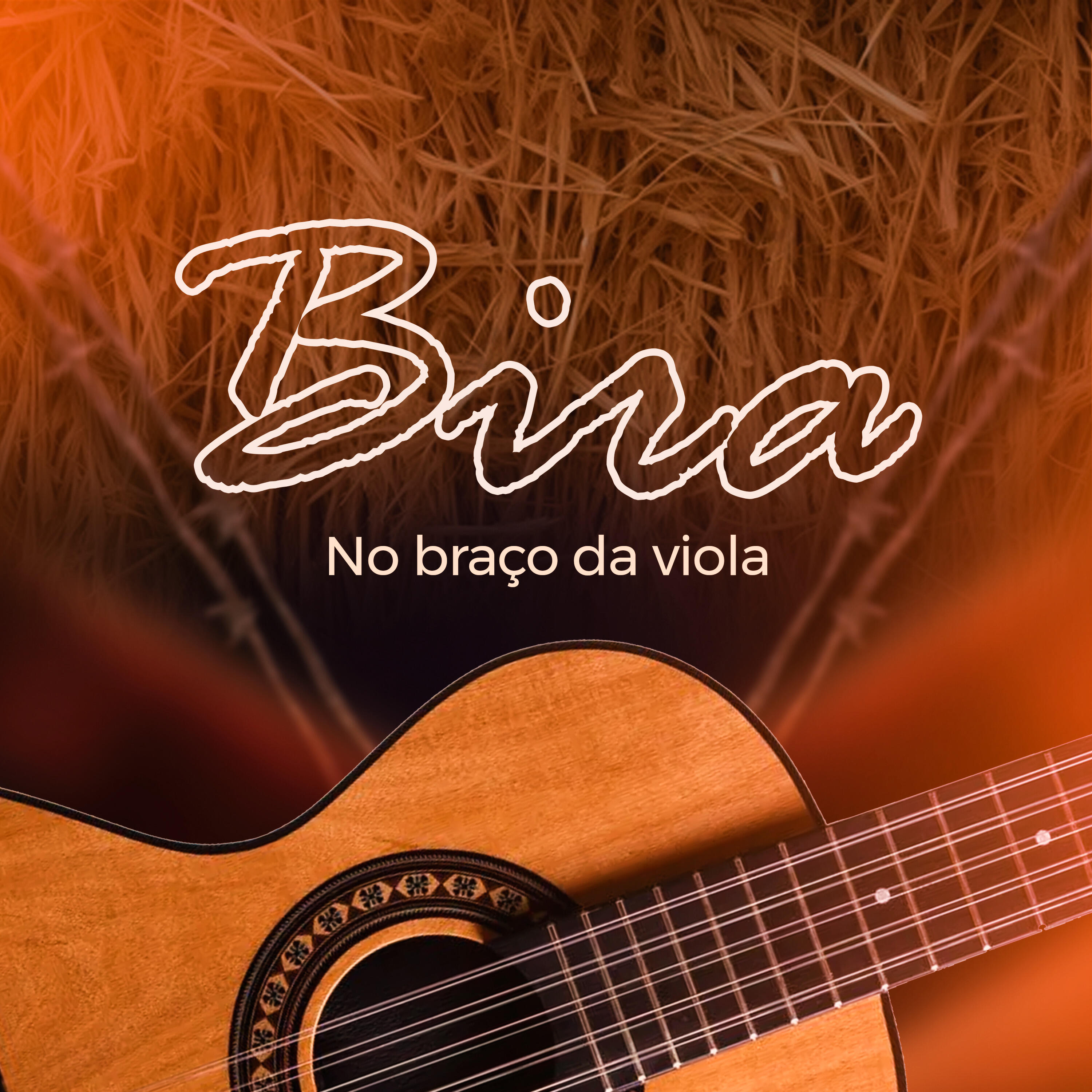 Релиз No Braço da Viola