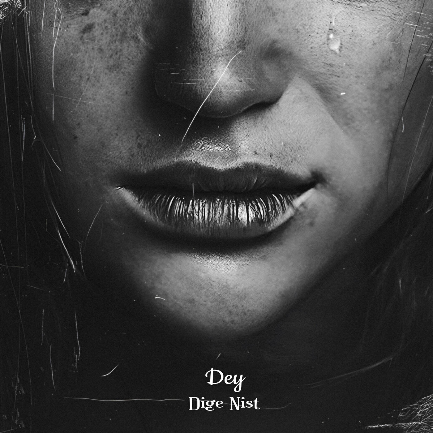 Релиз Dige Nist