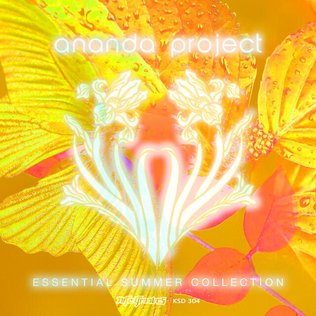 Релиз Essential Summer Collection