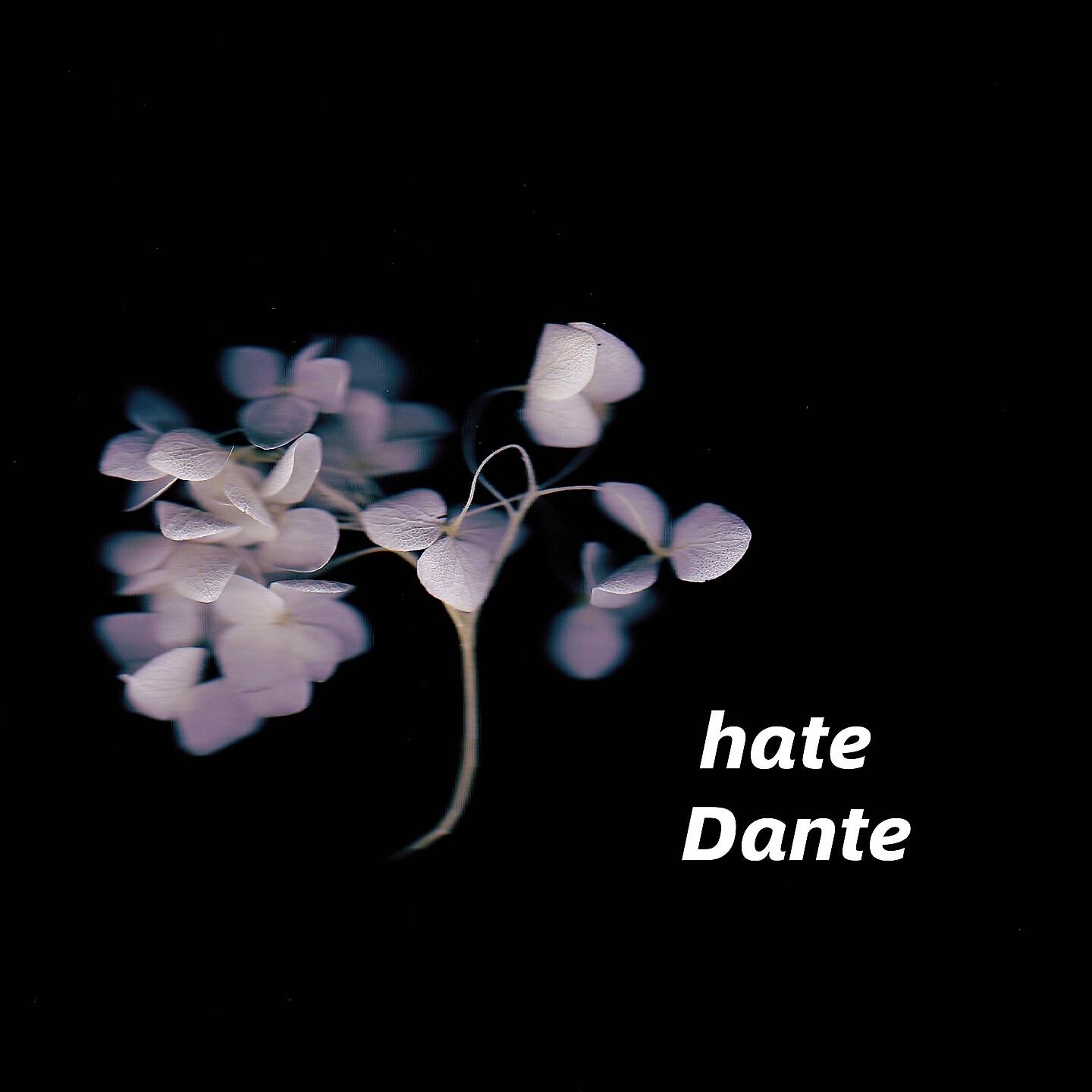 Релиз hate