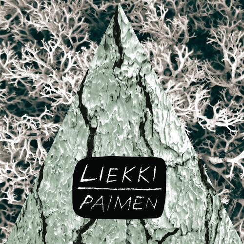 Релиз Paimen