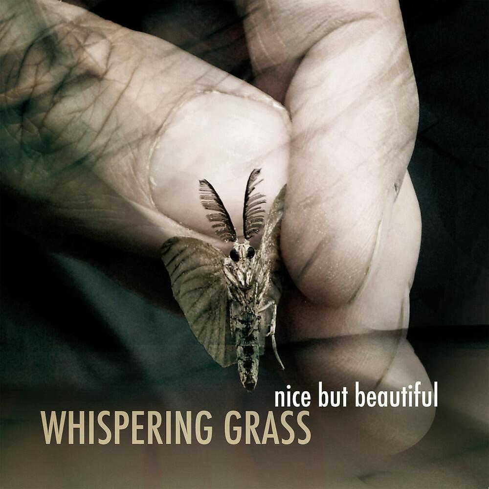 Релиз Nice but Beautiful