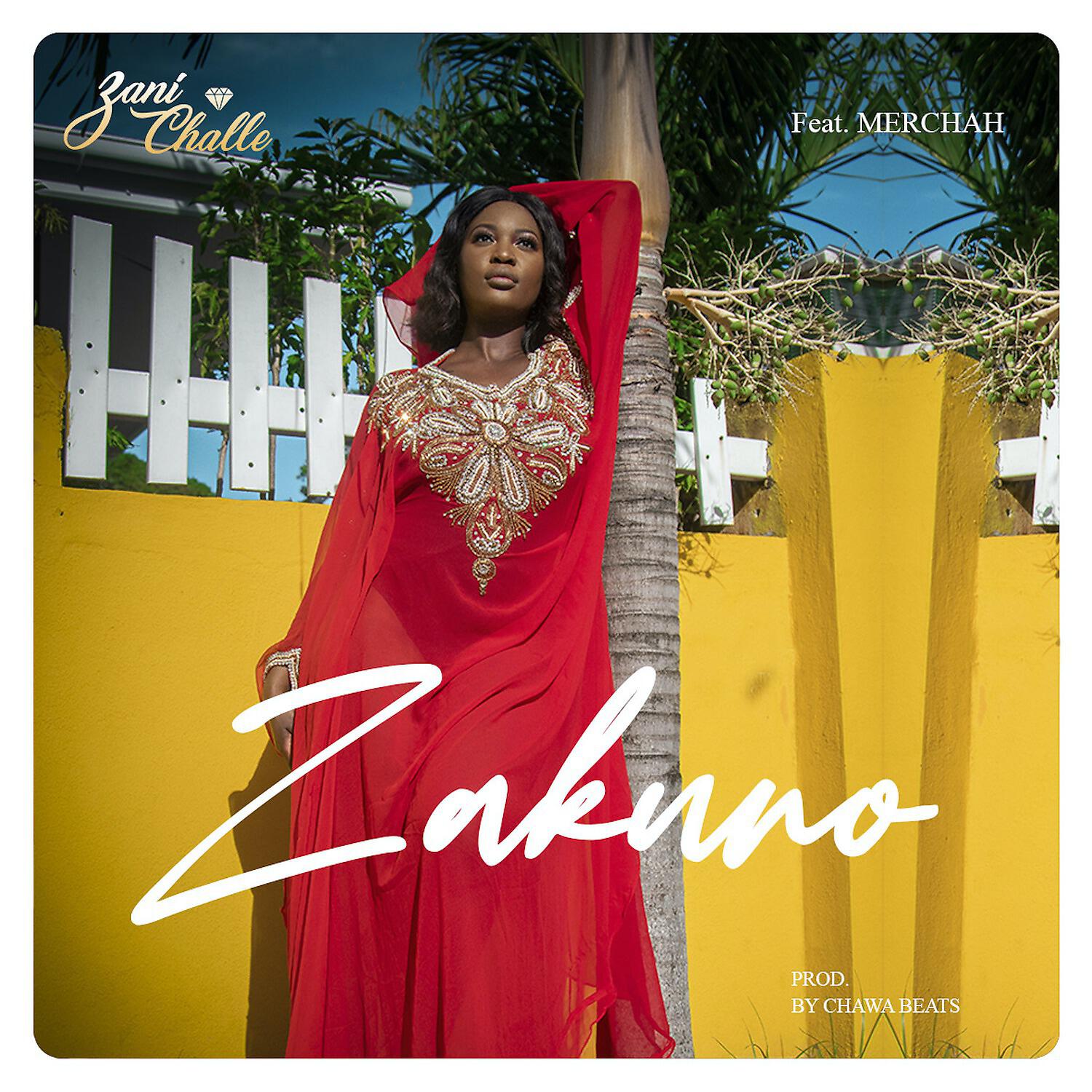 Релиз Zakuno