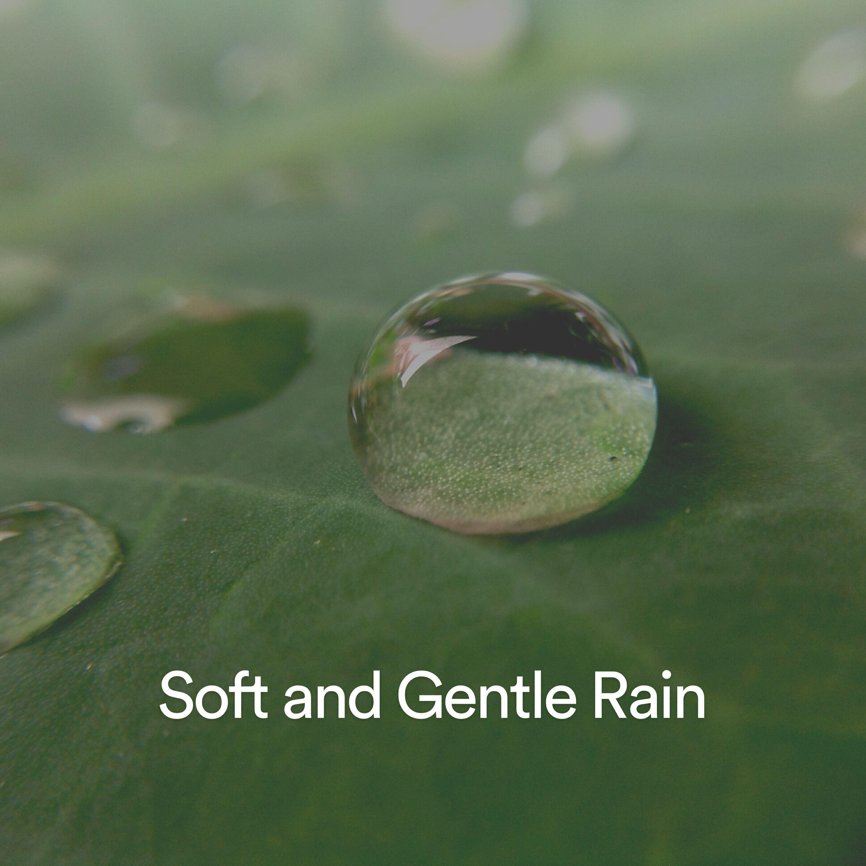 Rain Shower Spa