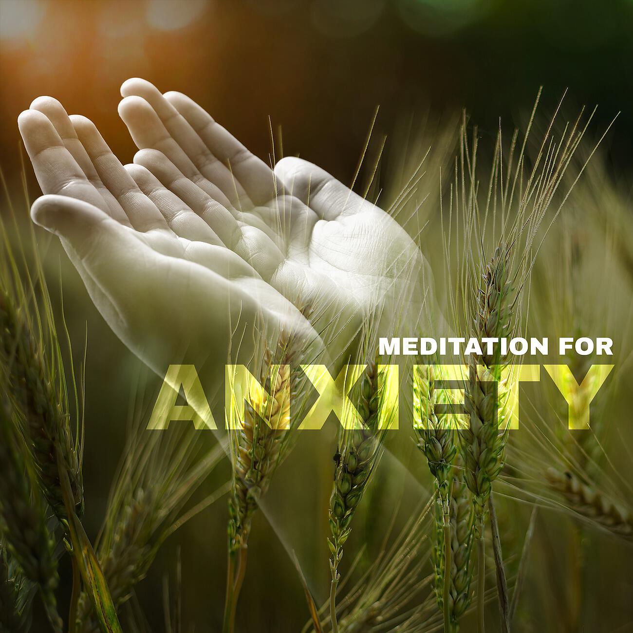 Релиз Meditation for Anxiety - Healing Nature for Deep Relaxation
