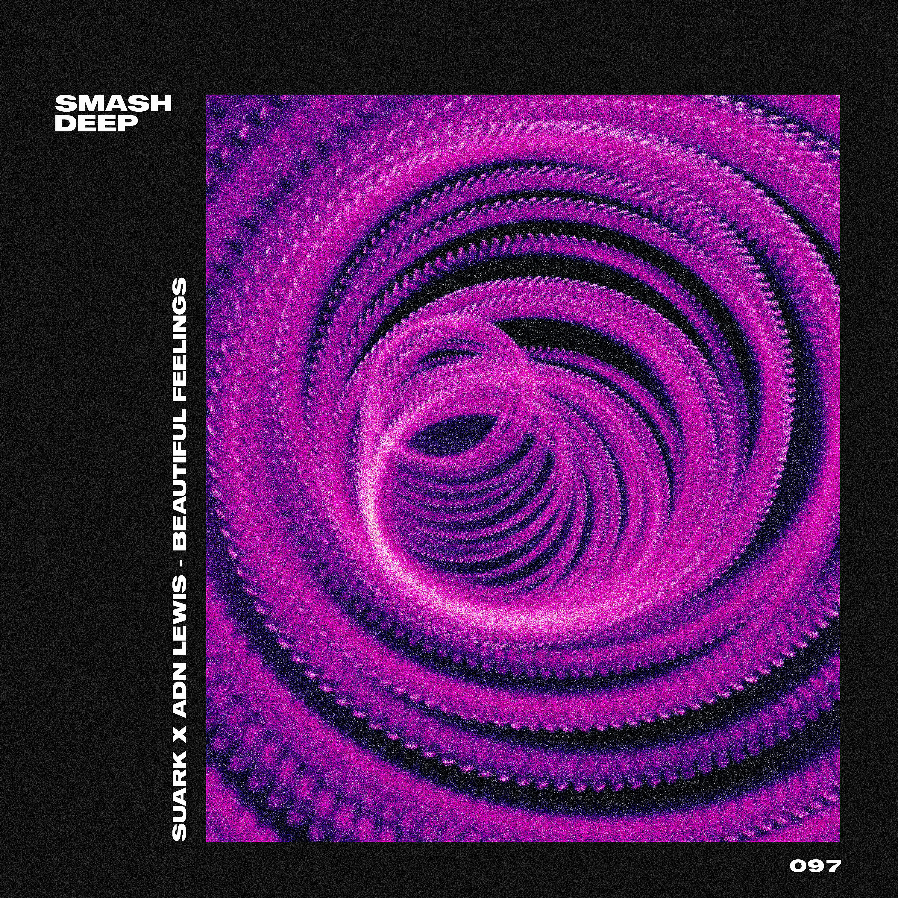 Релиз Beautiful Feelings