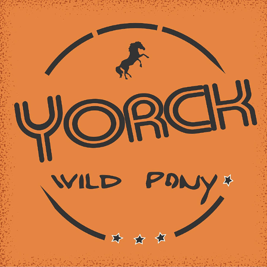 Релиз Wild Pony