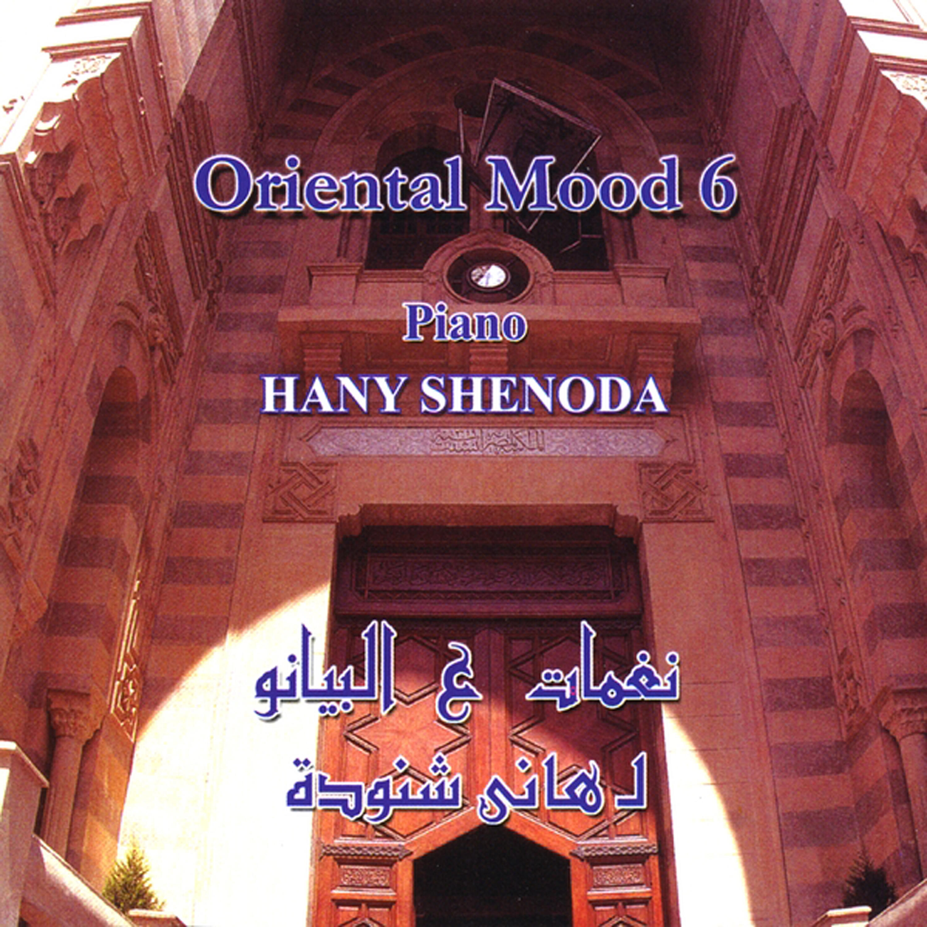 Hany Shenoda