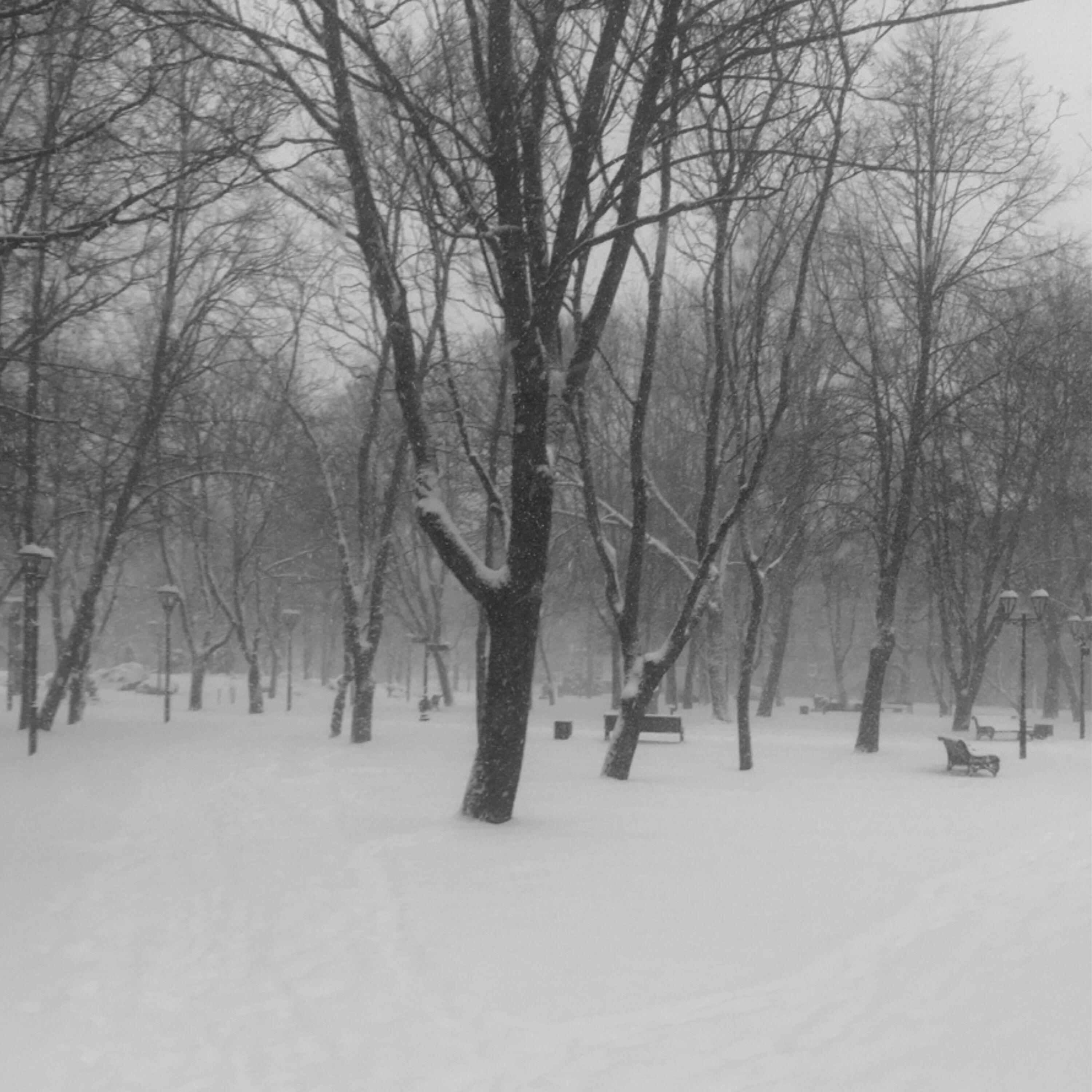 Релиз snow brings peace to a place where it has been raining thoughts for too long