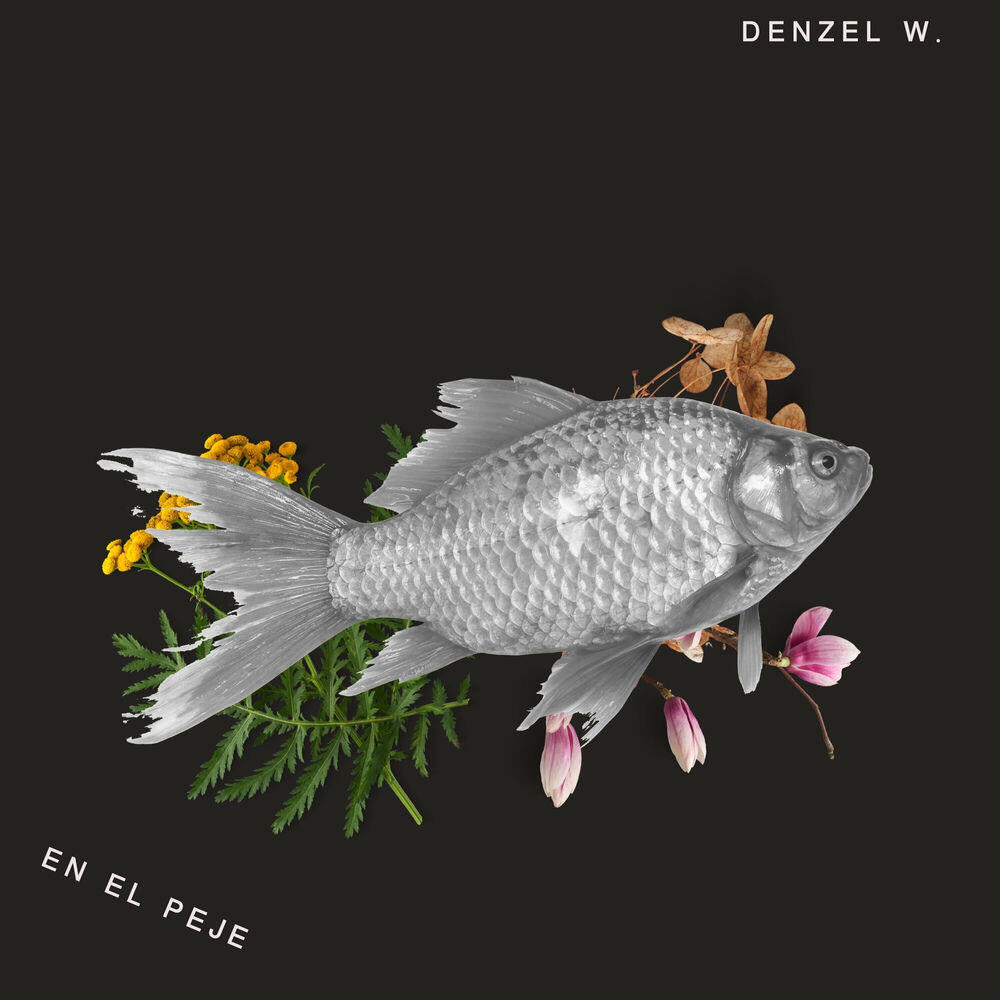 Denzel w.