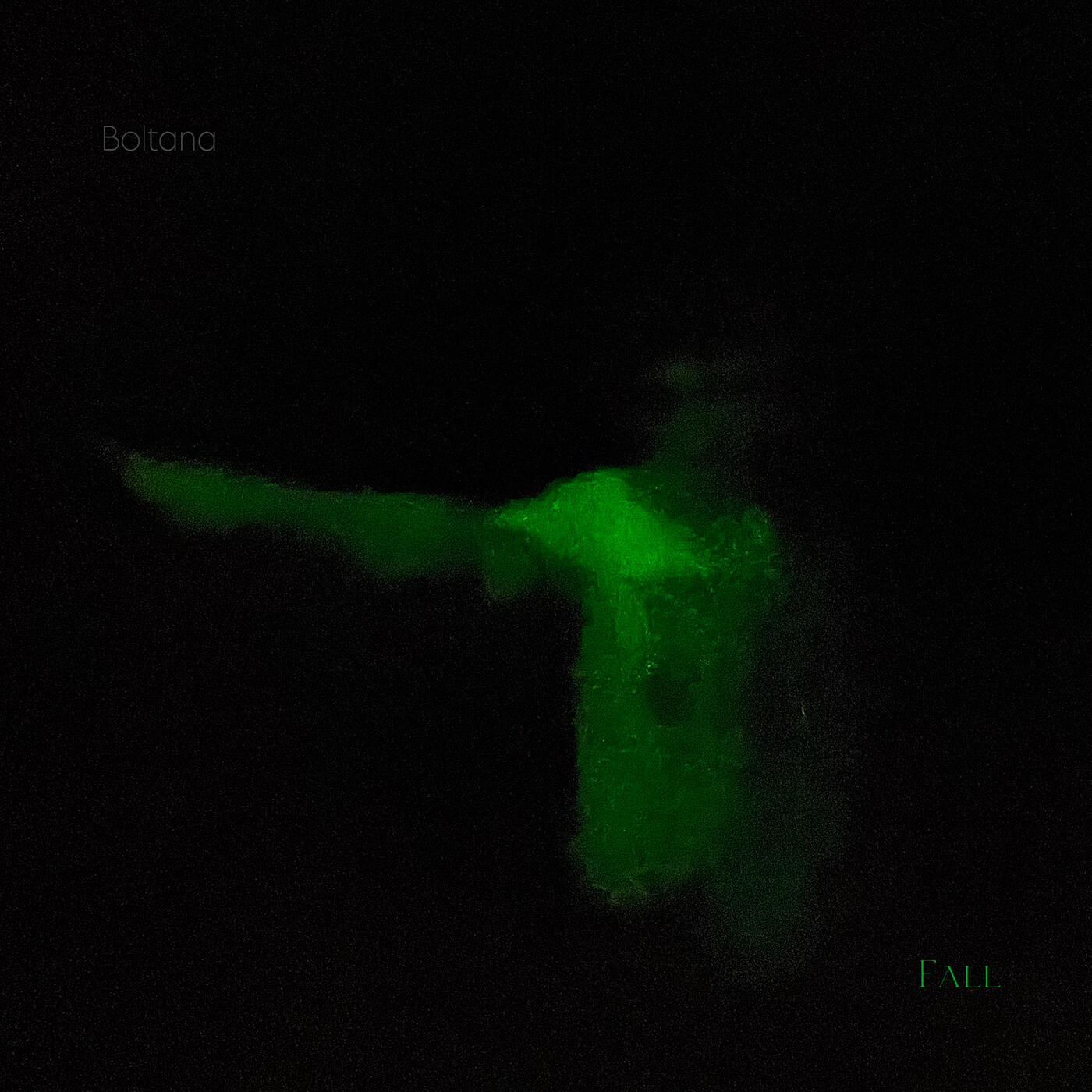 Релиз Fall