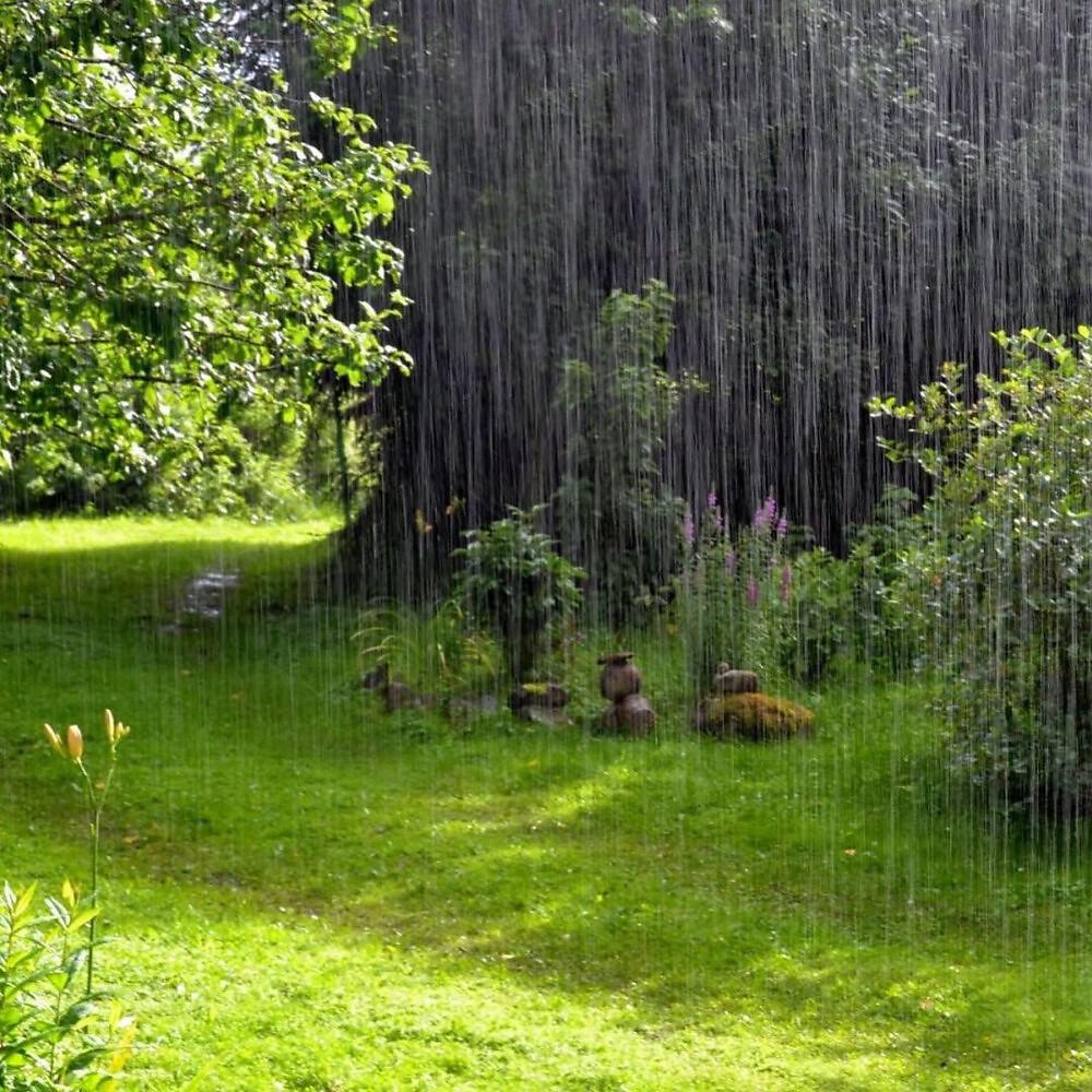 Релиз Beautiful Garden